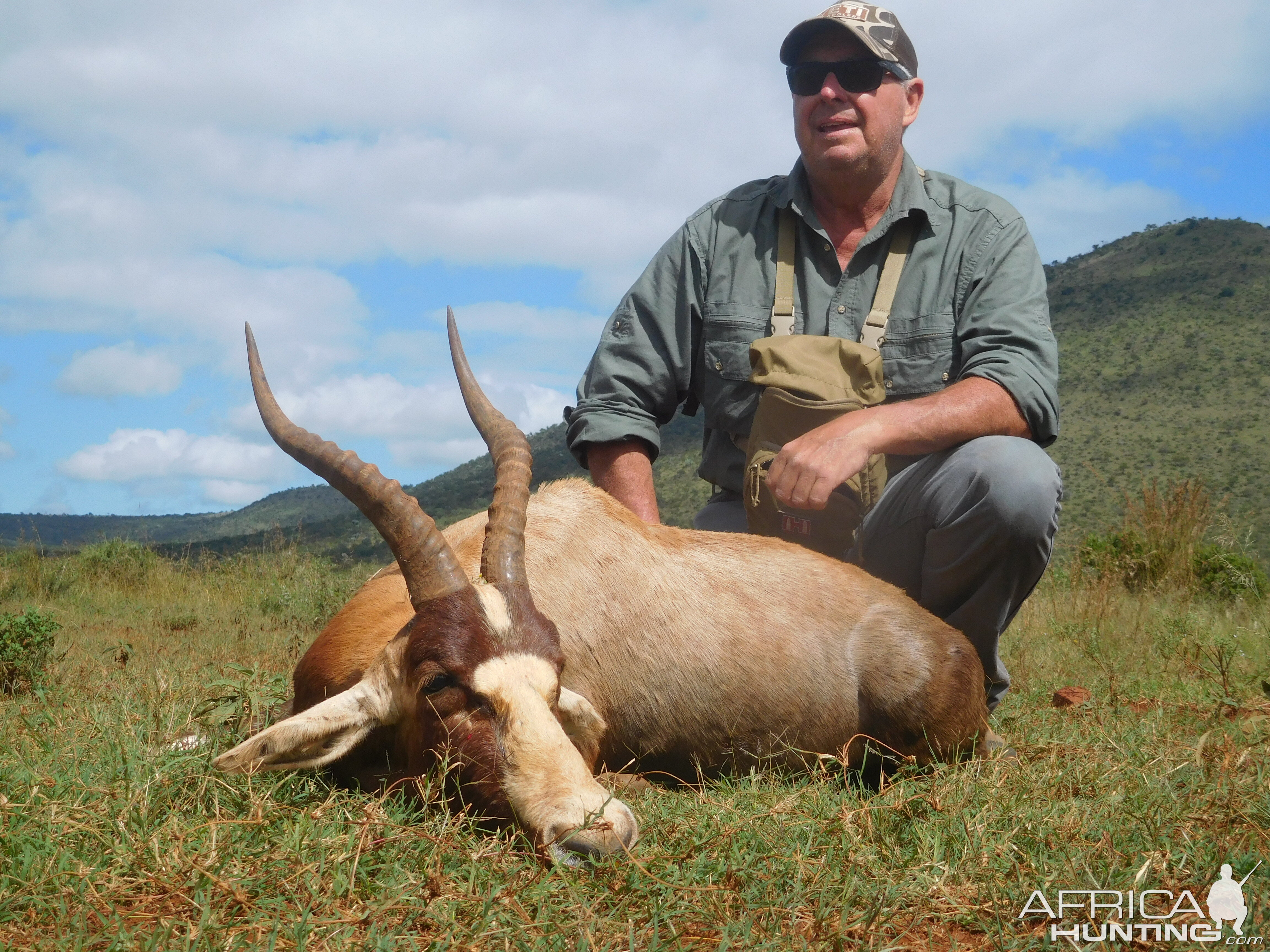 South Africa Hunt Blesbok