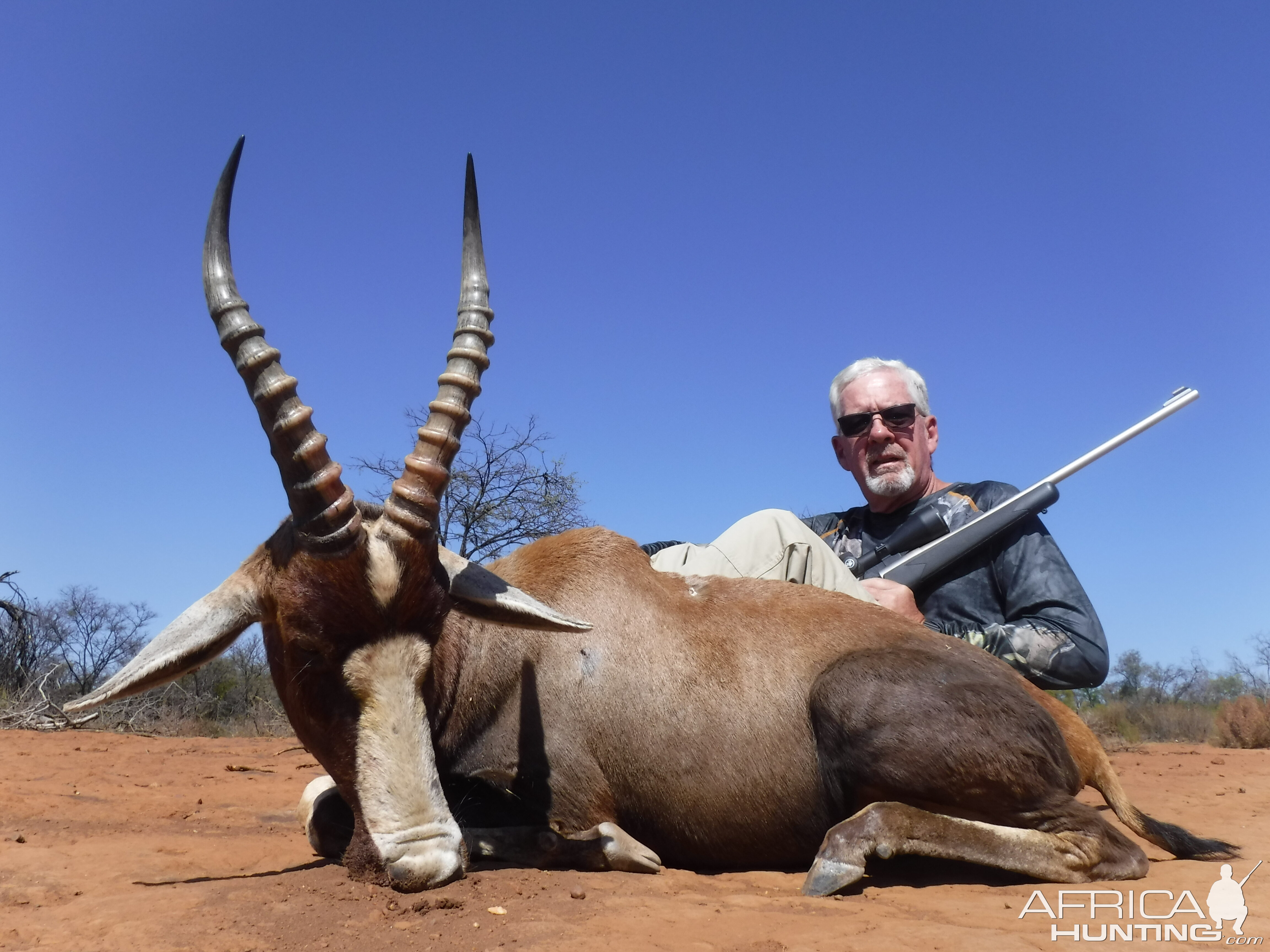 South Africa Hunt Blesbok