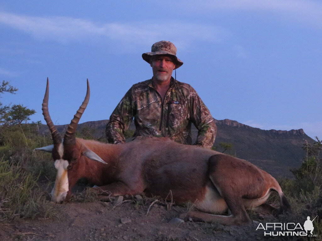 South Africa Hunt Blesbok