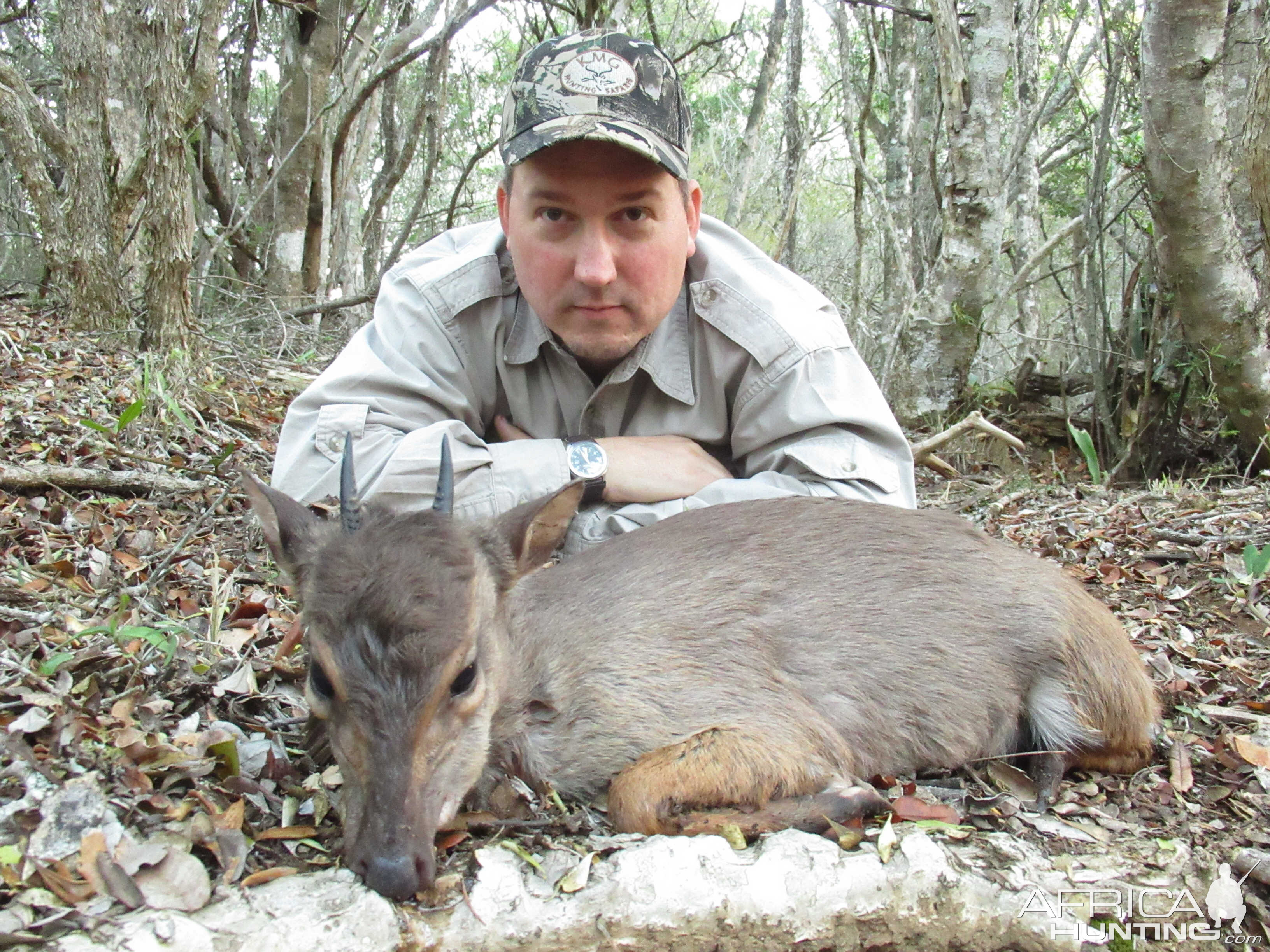 South Africa Hunt Blue Duiker