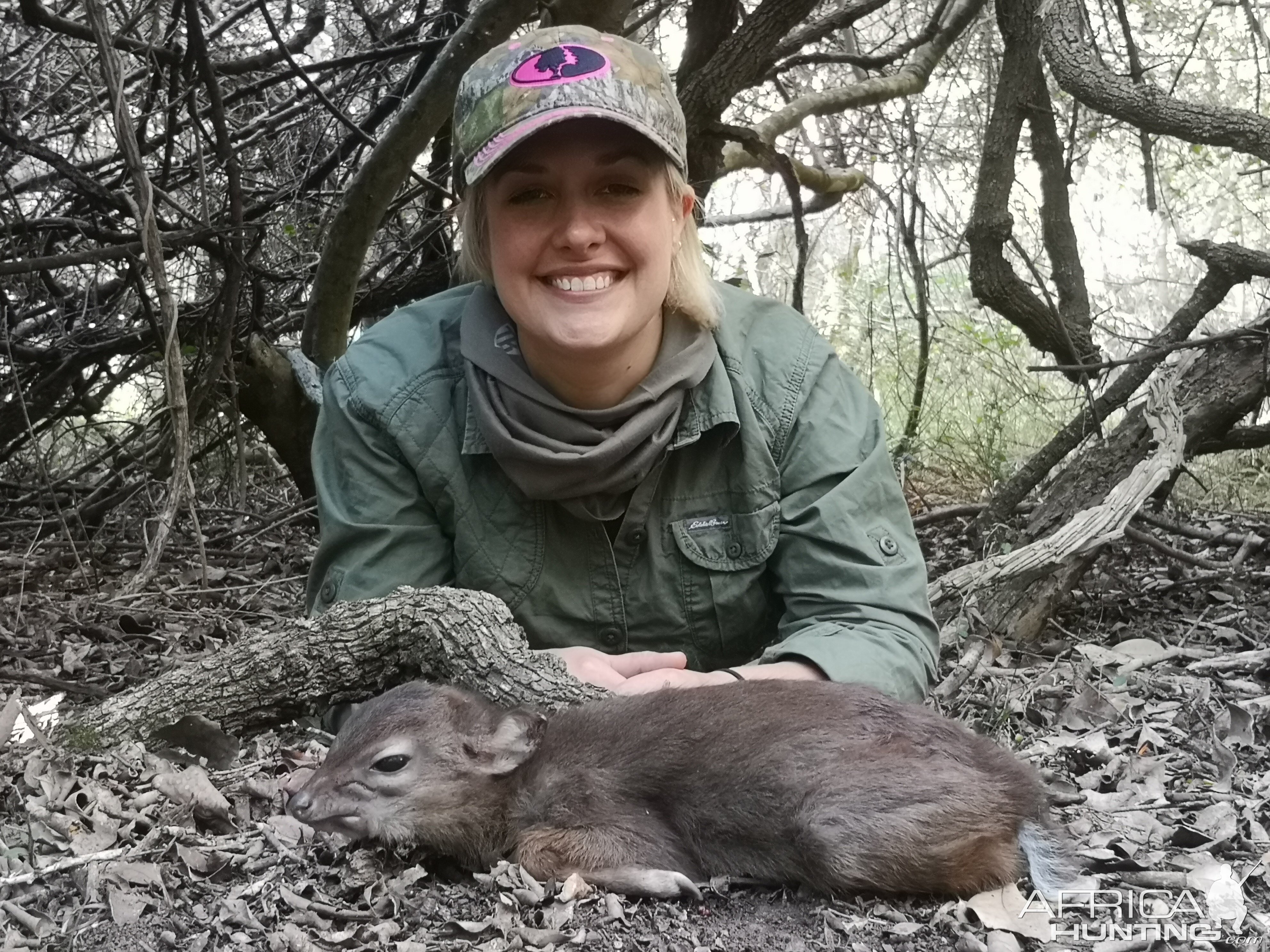 South Africa Hunt Blue Duiker