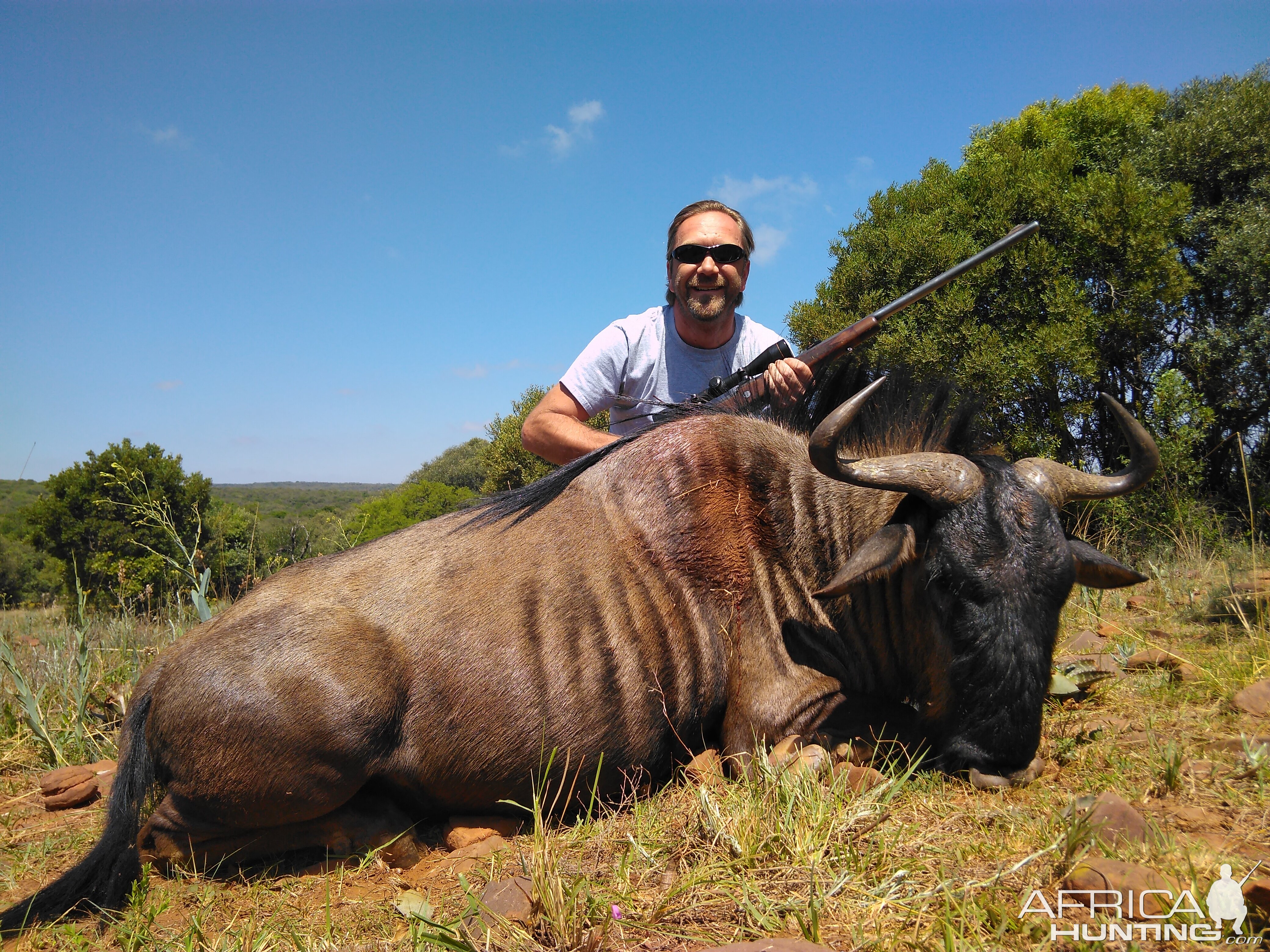 South Africa Hunt Blue Wildebeest