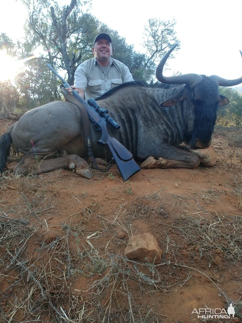 South Africa Hunt Blue Wildebeest