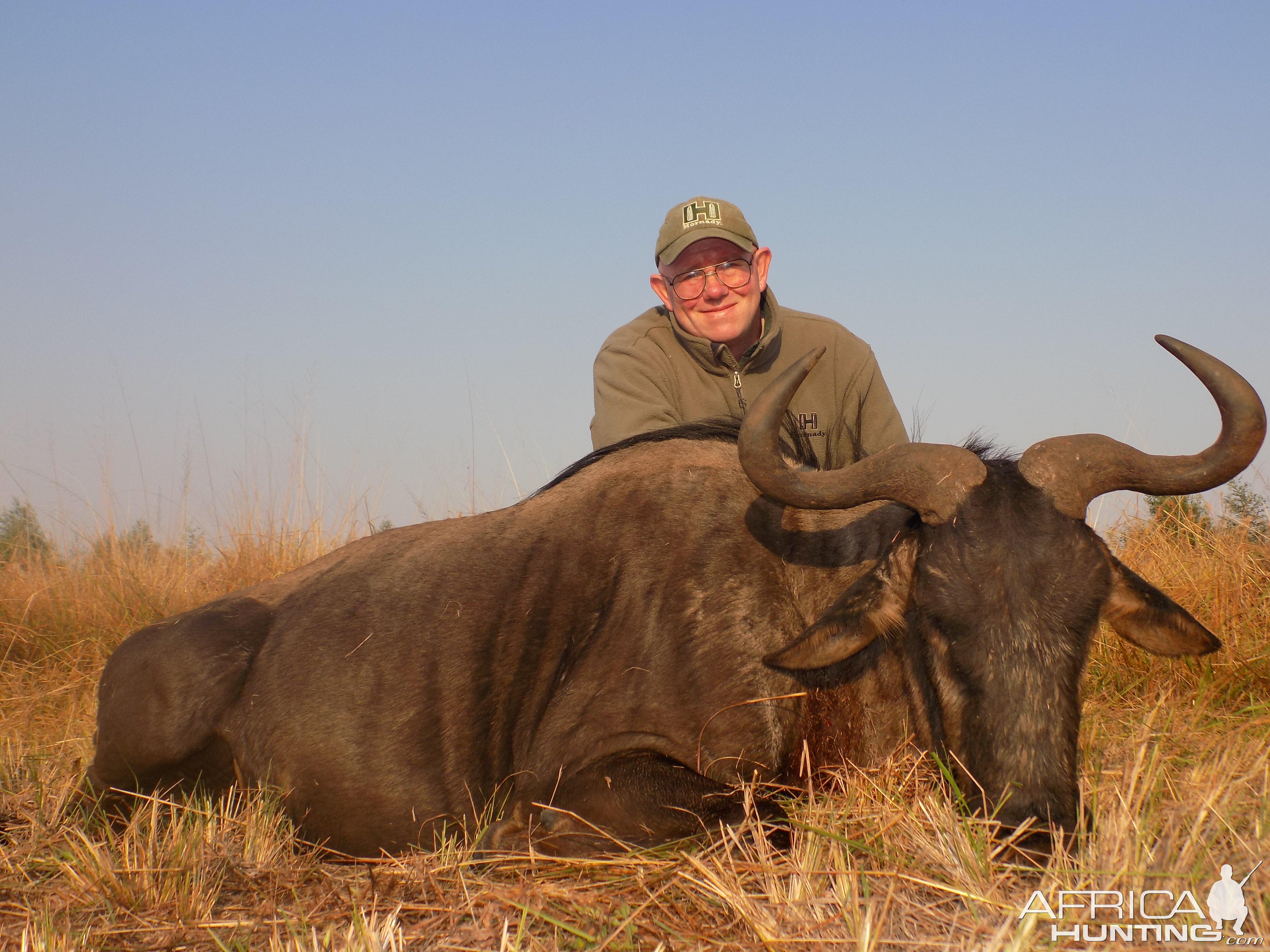 South Africa Hunt Blue Wildebeest