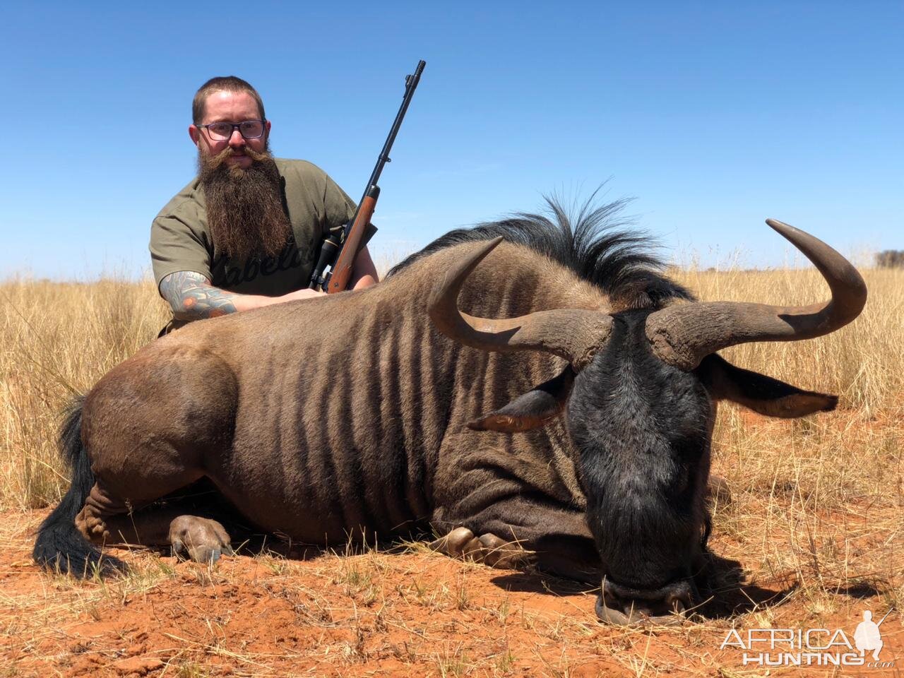 South Africa Hunt Blue Wildebeest