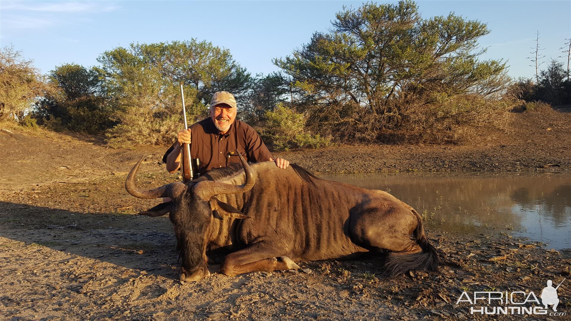 South Africa Hunt Blue Wildebeest