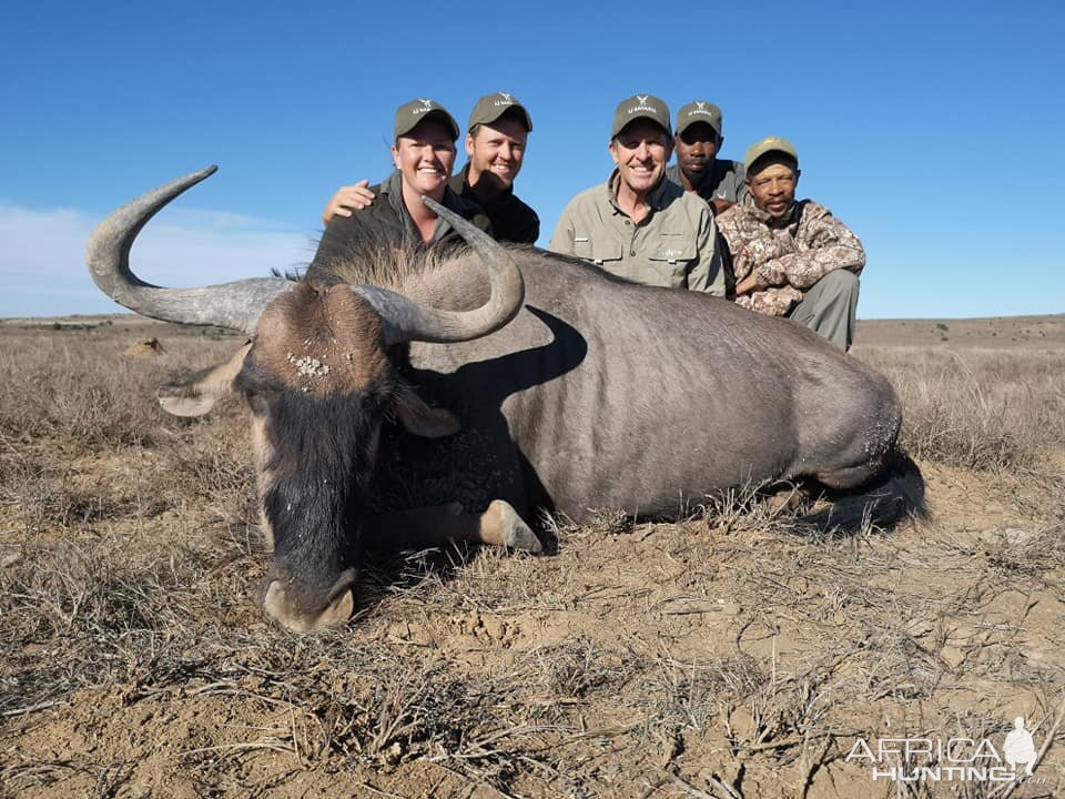 South Africa Hunt Blue Wildebeest