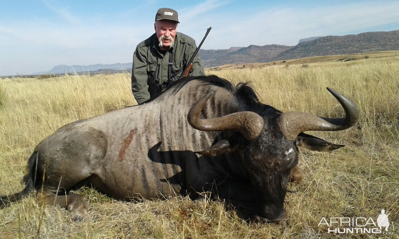 South Africa Hunt Blue Wildebeest