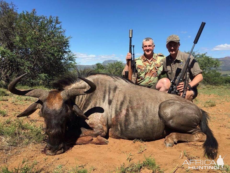 South Africa Hunt Blue Wildebeest