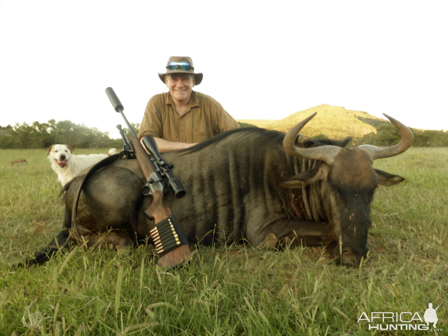 South Africa Hunt Blue Wildebeest