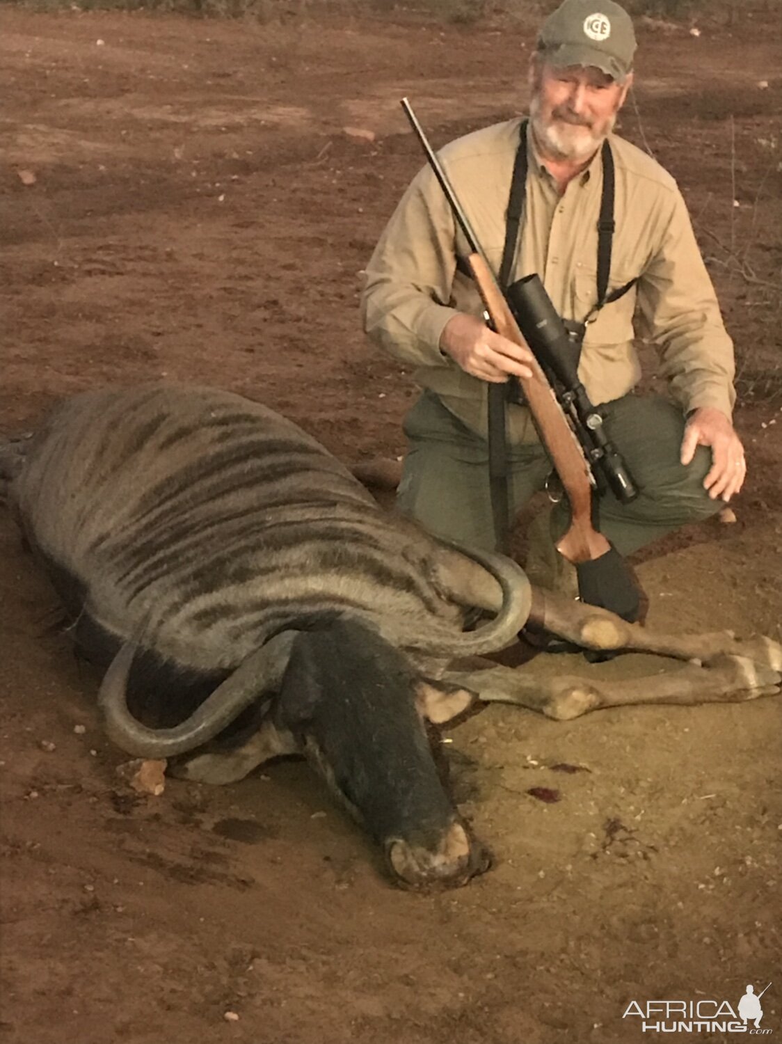 South Africa Hunt Blue Wildebeest