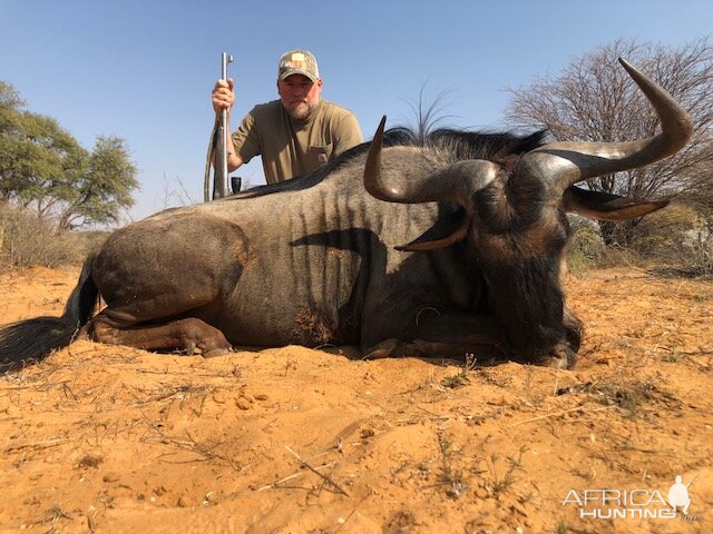 South Africa Hunt Blue Wildebeest