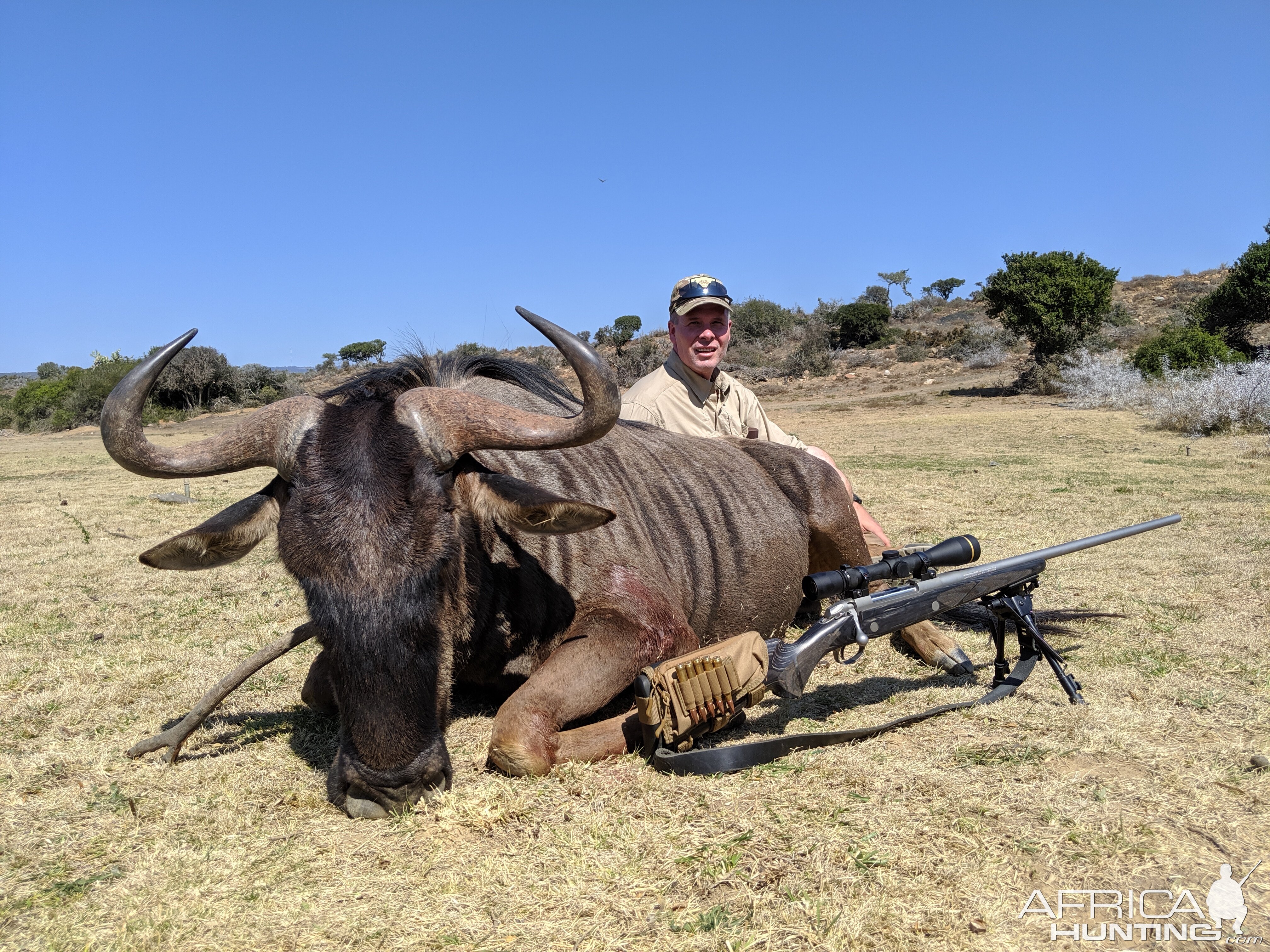 South Africa Hunt Blue Wildebeest