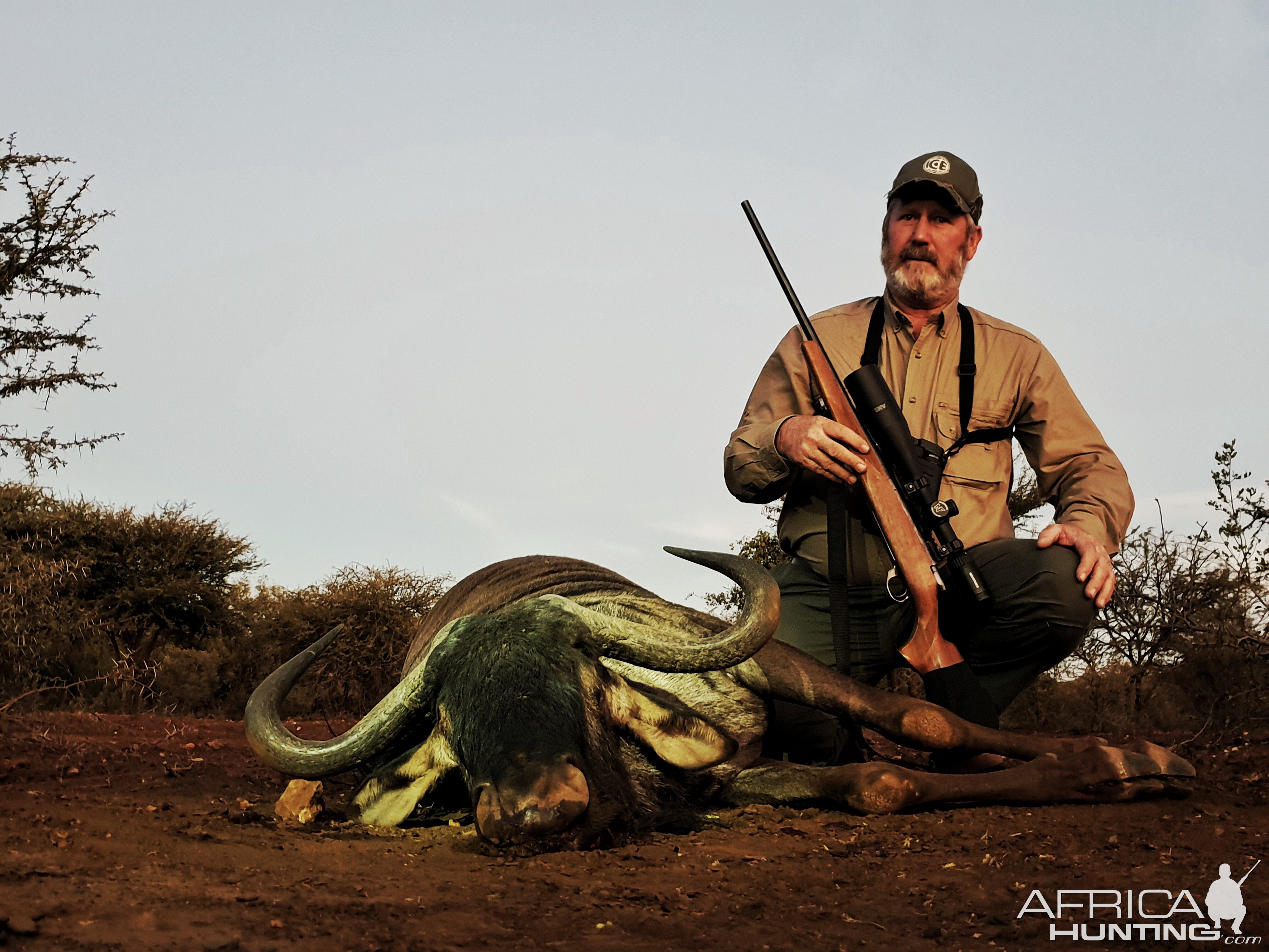 South Africa Hunt Blue Wildebeest