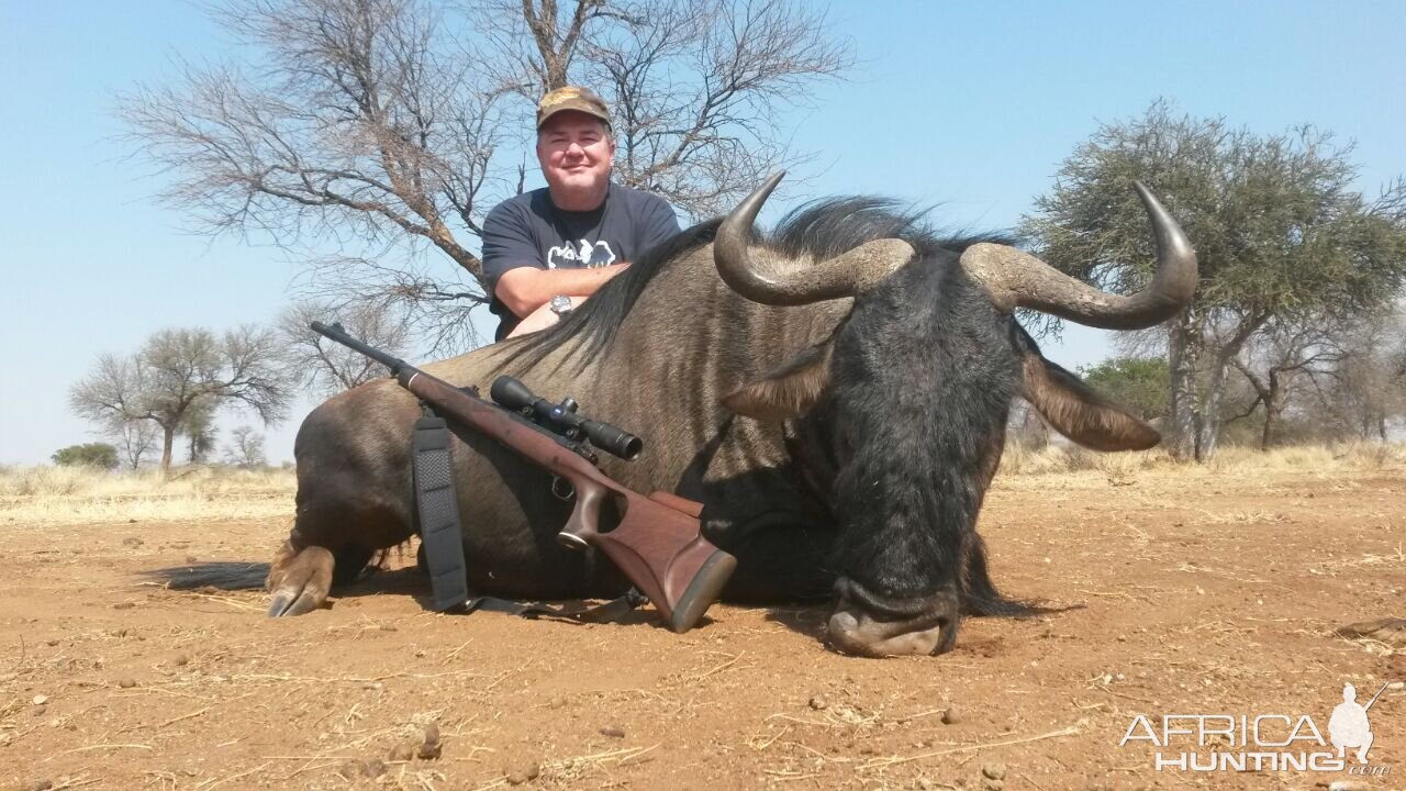 South Africa Hunt Blue Wildebeest