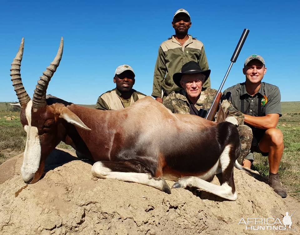 South Africa Hunt Bontebok