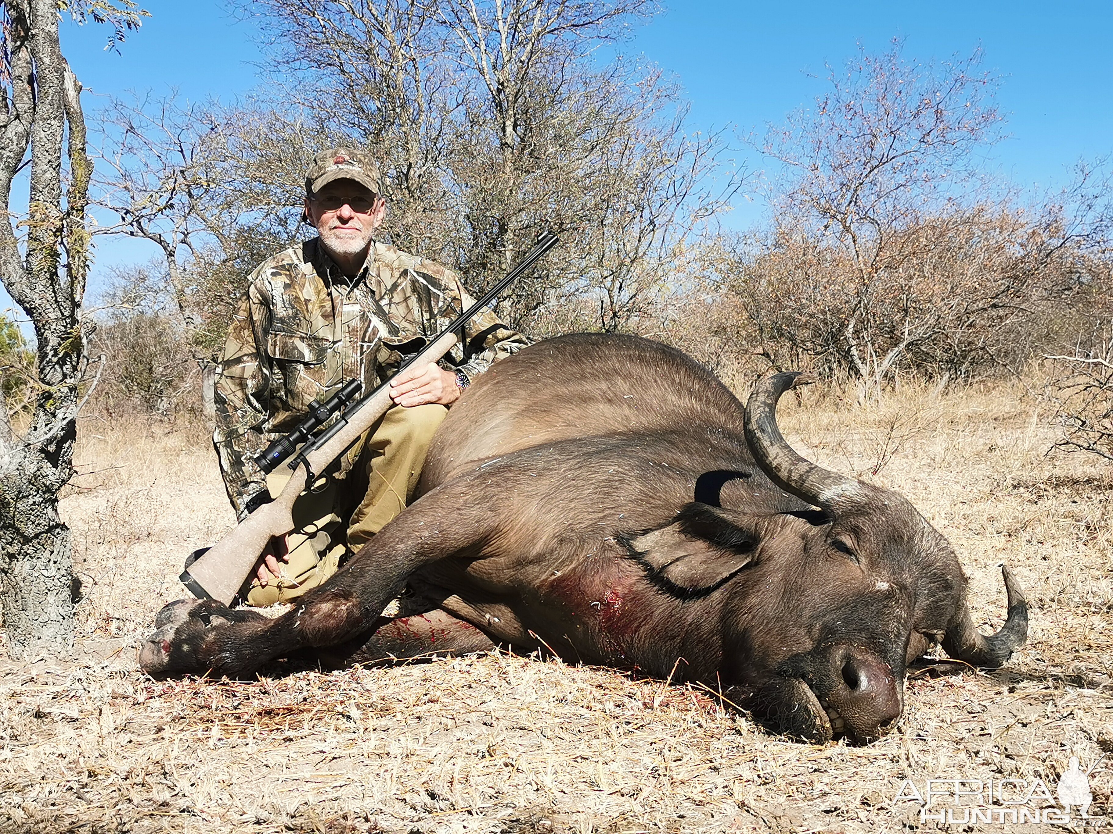 South Africa Hunt Buffalo Cow