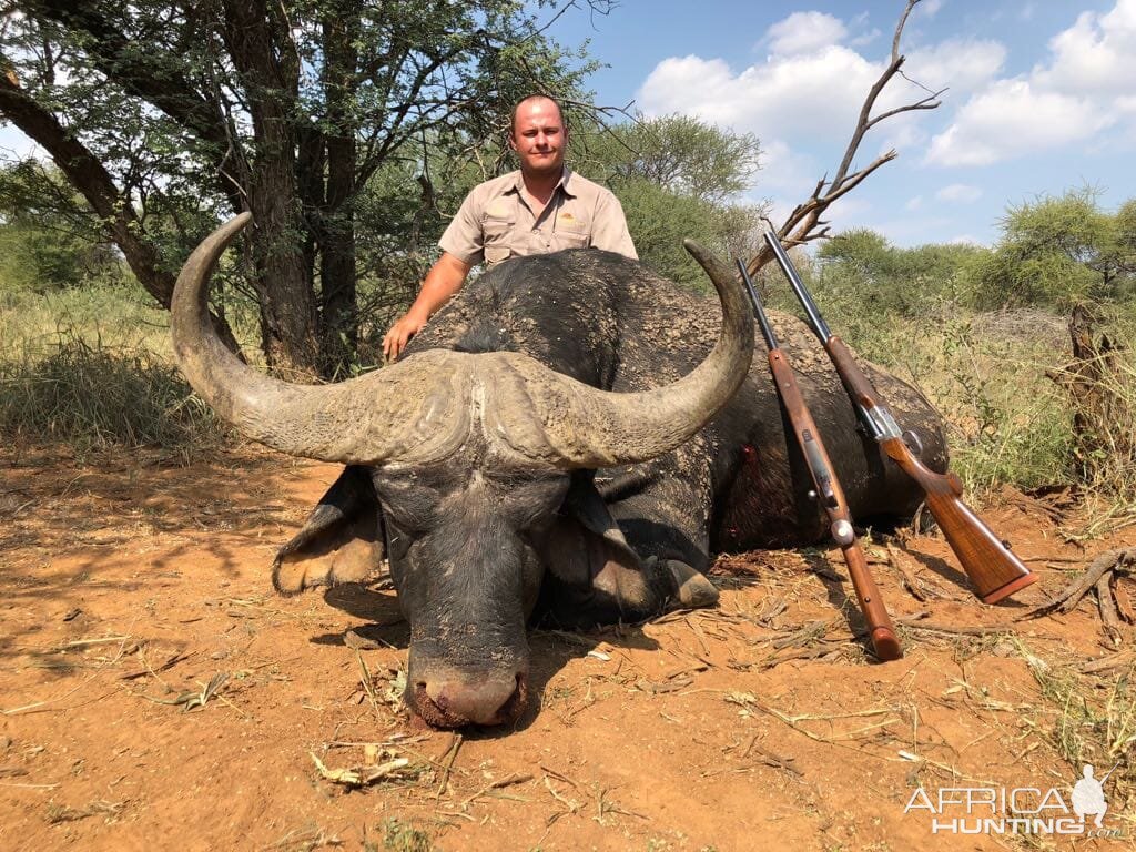 South Africa Hunt Buffalo