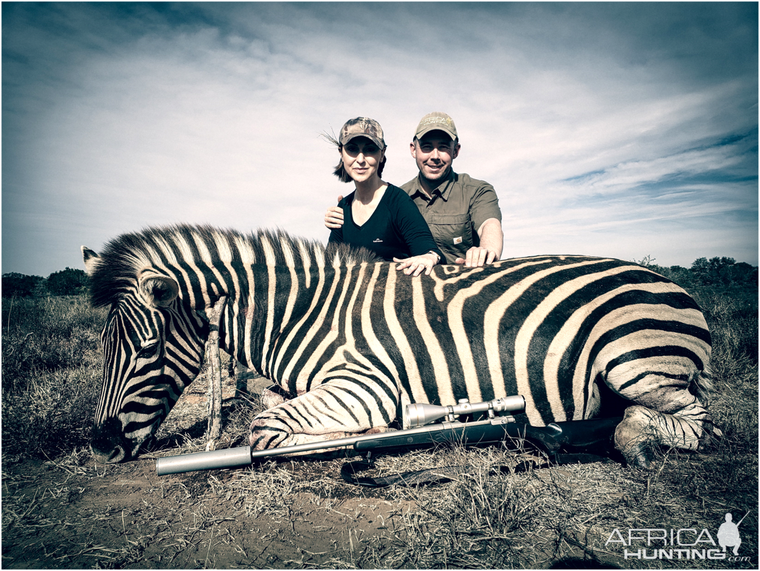 South Africa Hunt Burchell's Plain Zebra