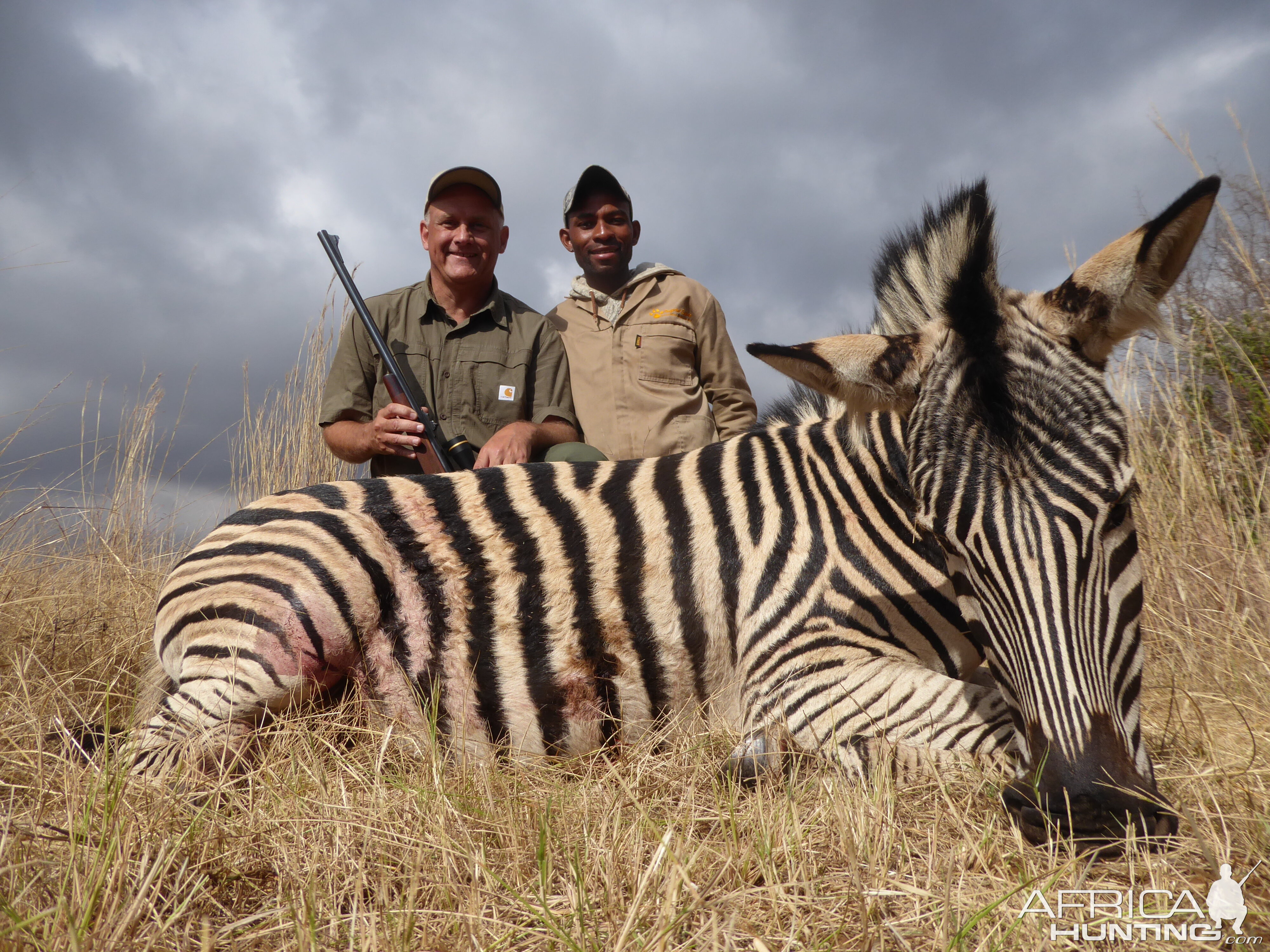 South Africa Hunt Burchell's Plain Zebra