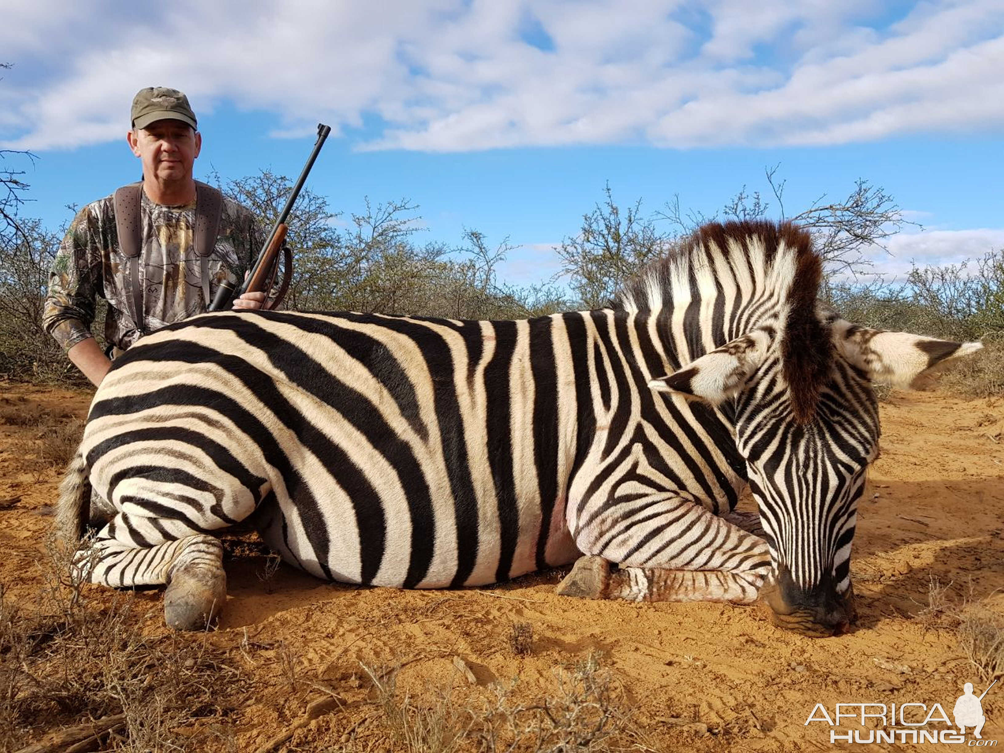 South Africa Hunt Burchell's Plain Zebra