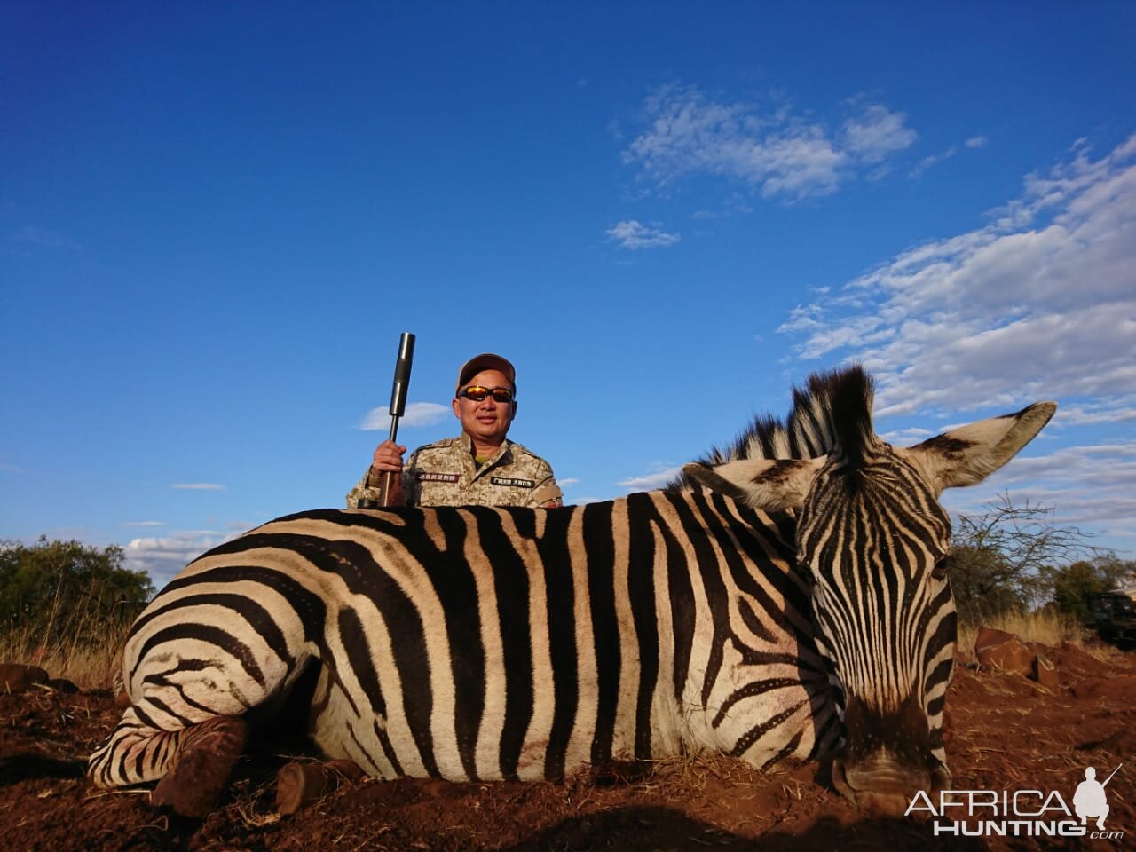 South Africa Hunt Burchell's Plain Zebra