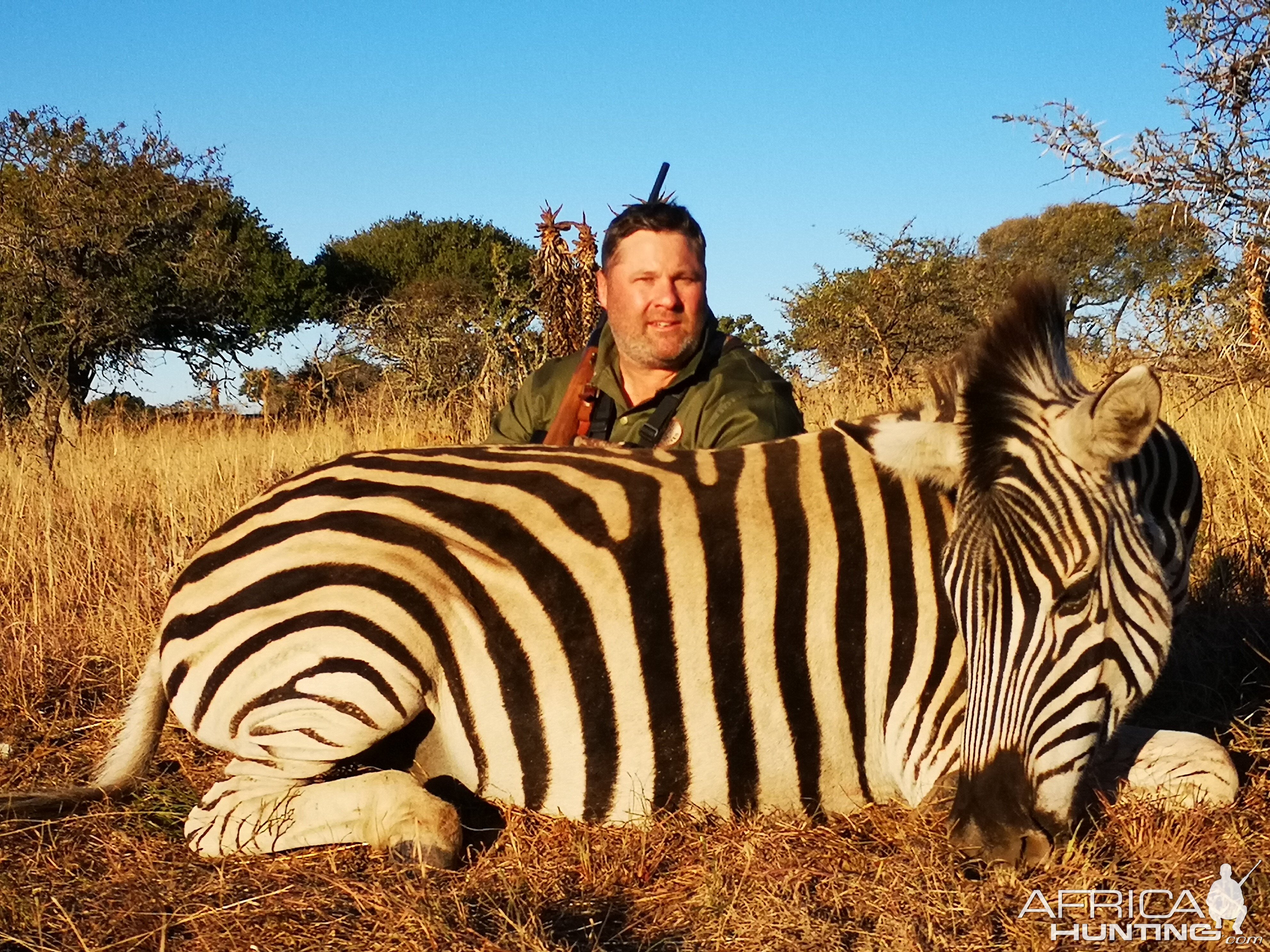 South Africa Hunt Burchell's Plain Zebra