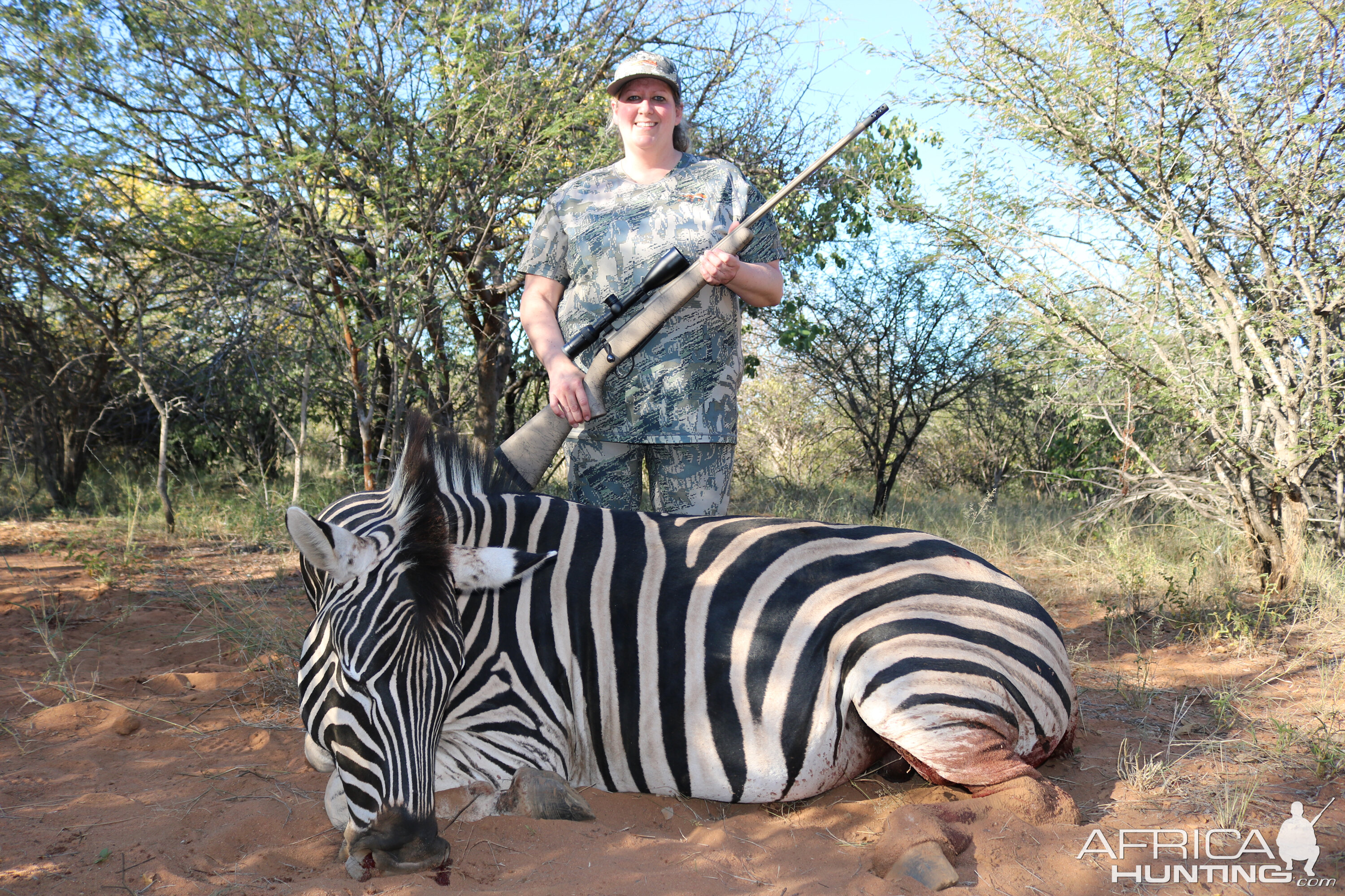 South Africa Hunt Burchell's Plain Zebra