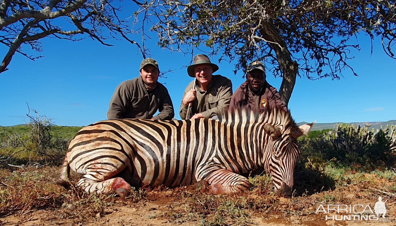 South Africa Hunt Burchell's Plain Zebra