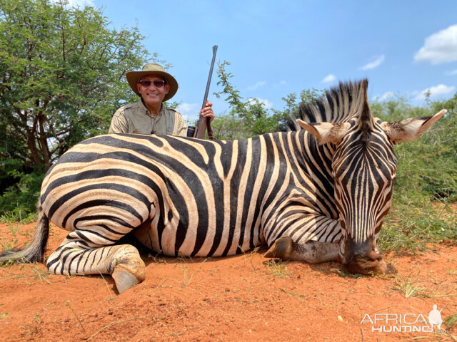 South Africa Hunt Burchell's Plain Zebra