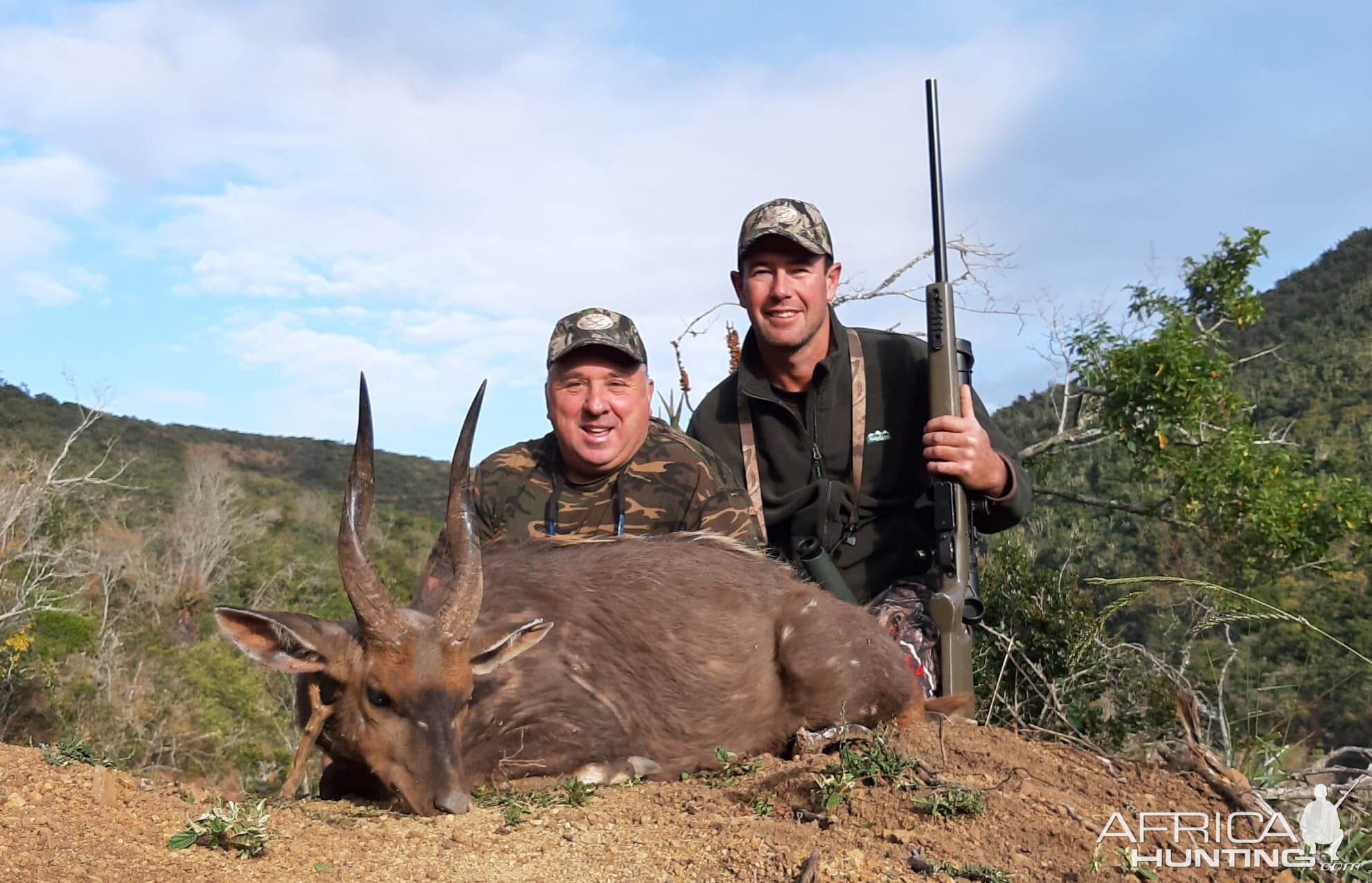 South Africa Hunt Bushbuck