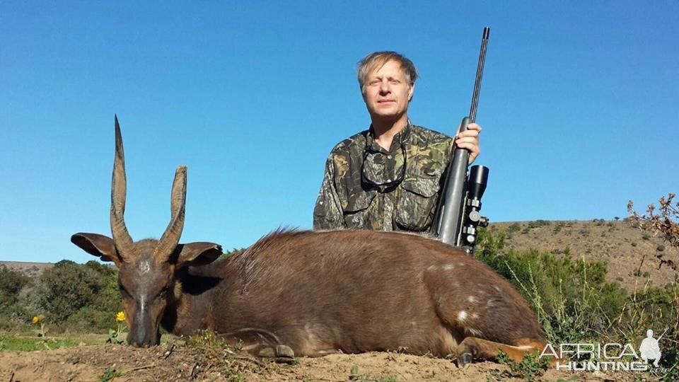 South Africa Hunt Bushbuck