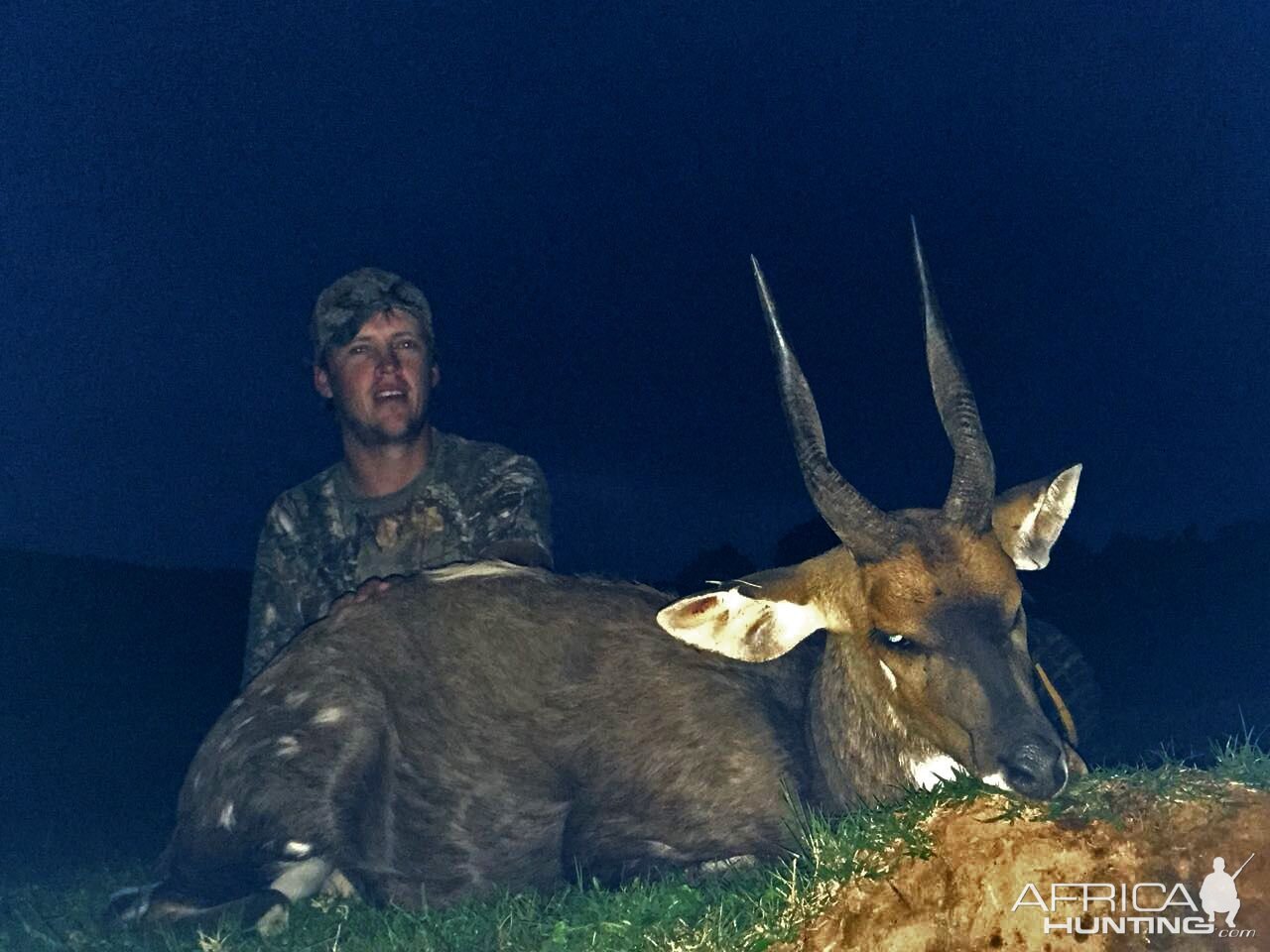 South Africa Hunt Bushbuck