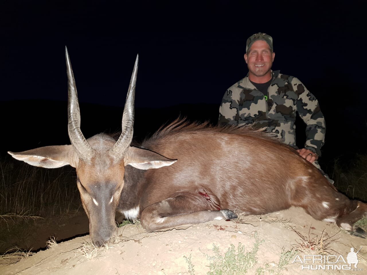 South Africa Hunt Bushbuck