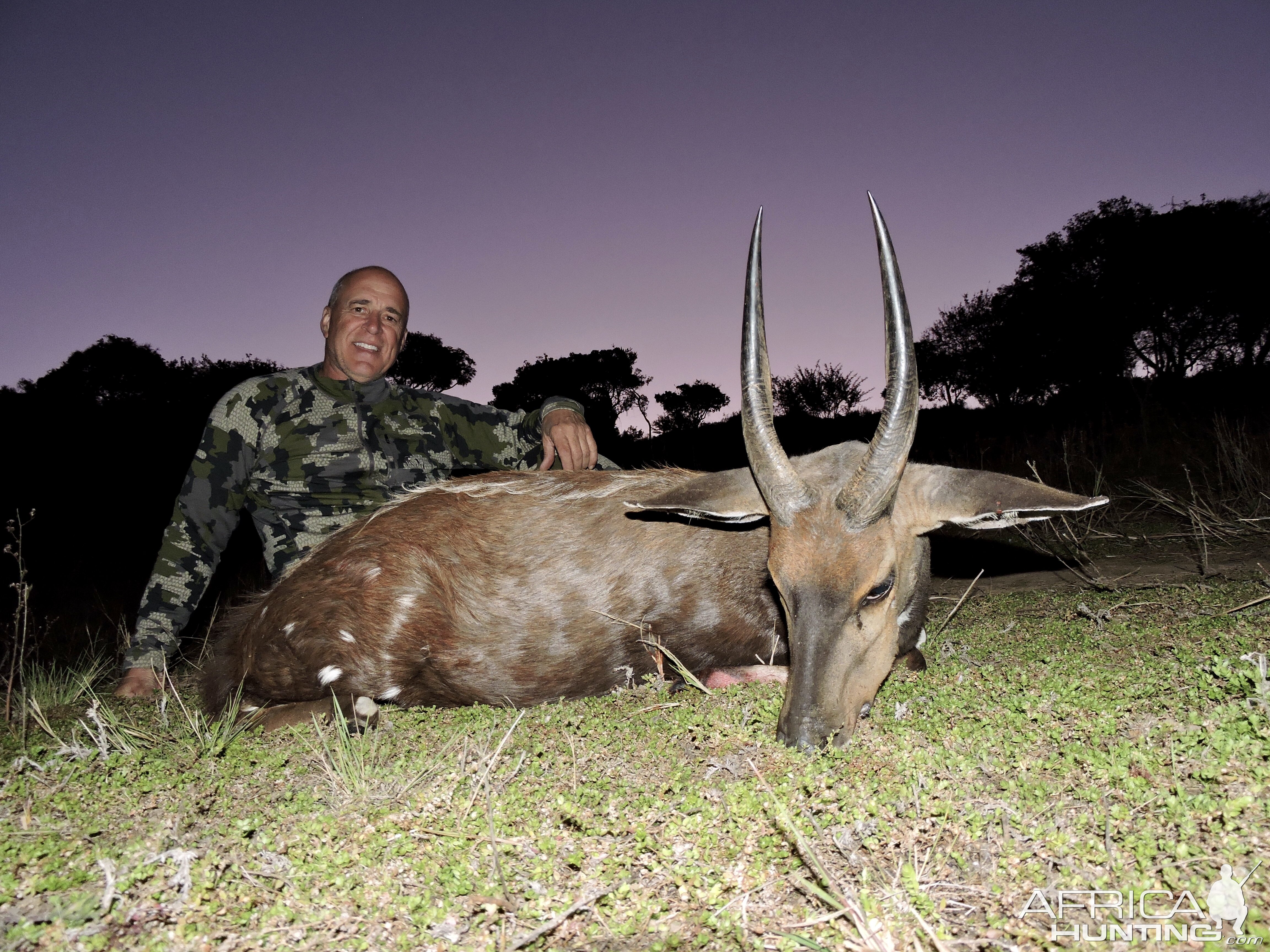 South Africa Hunt Bushbuck