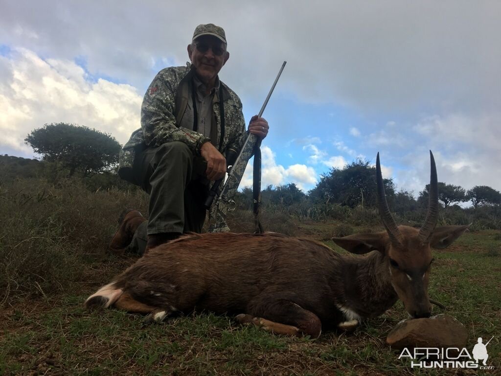 South Africa Hunt Bushbuck