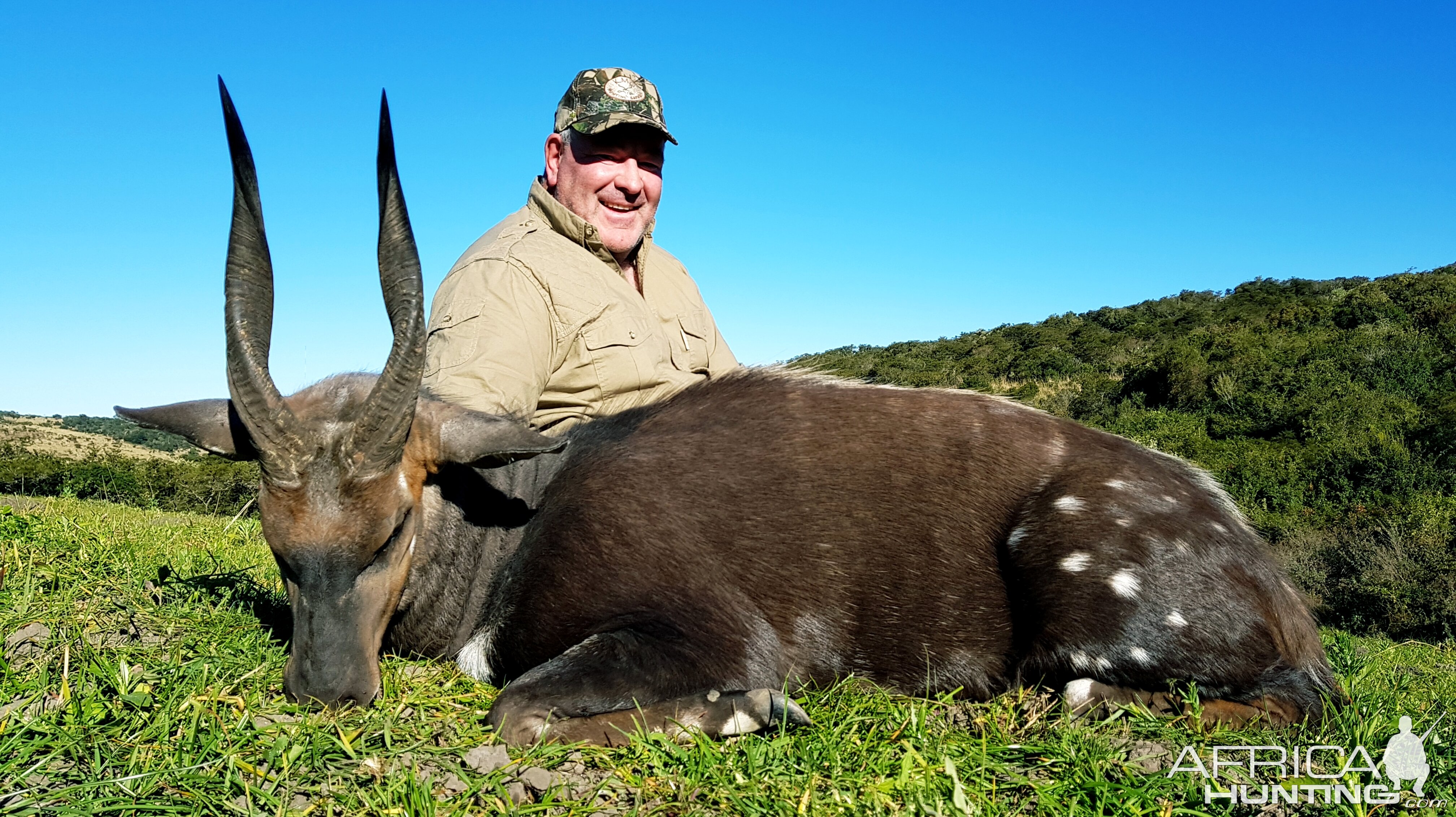 South Africa Hunt Bushbuck