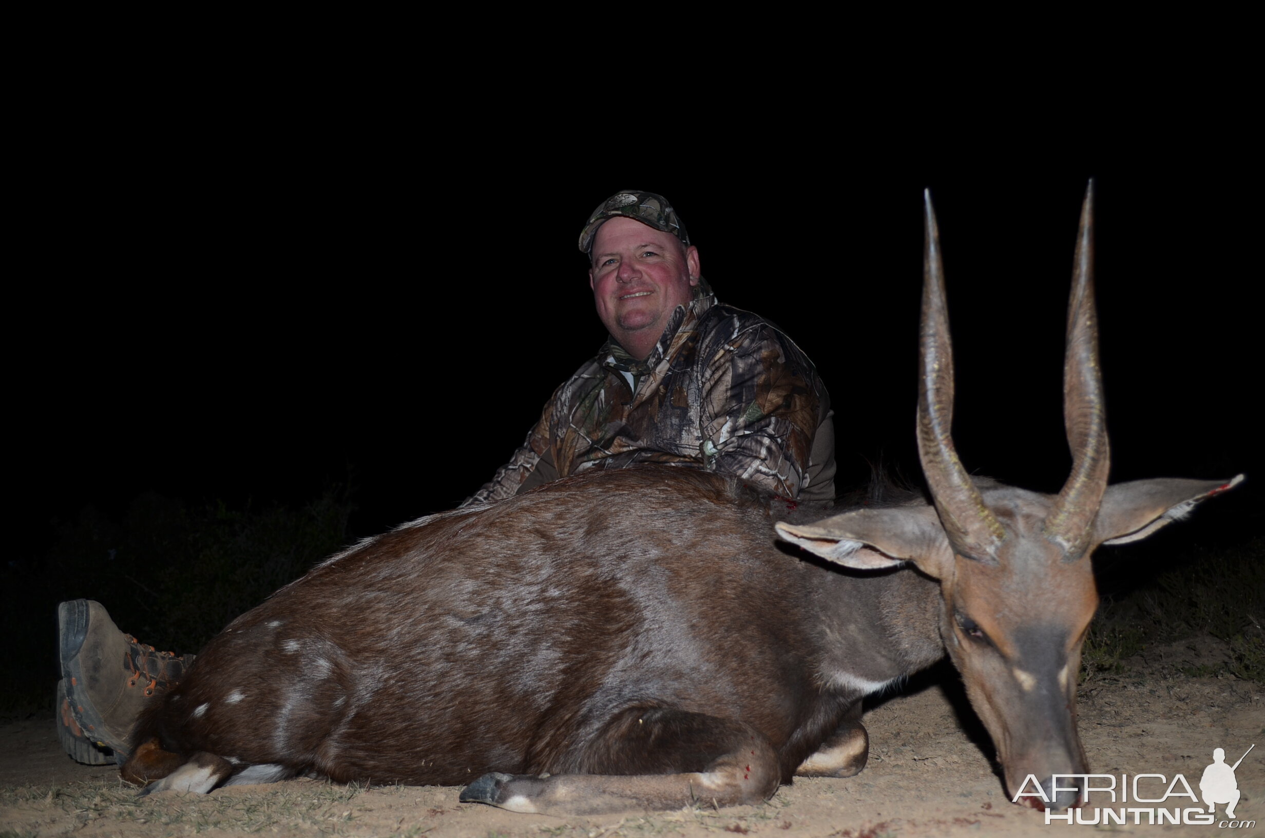 South Africa Hunt Bushbuck