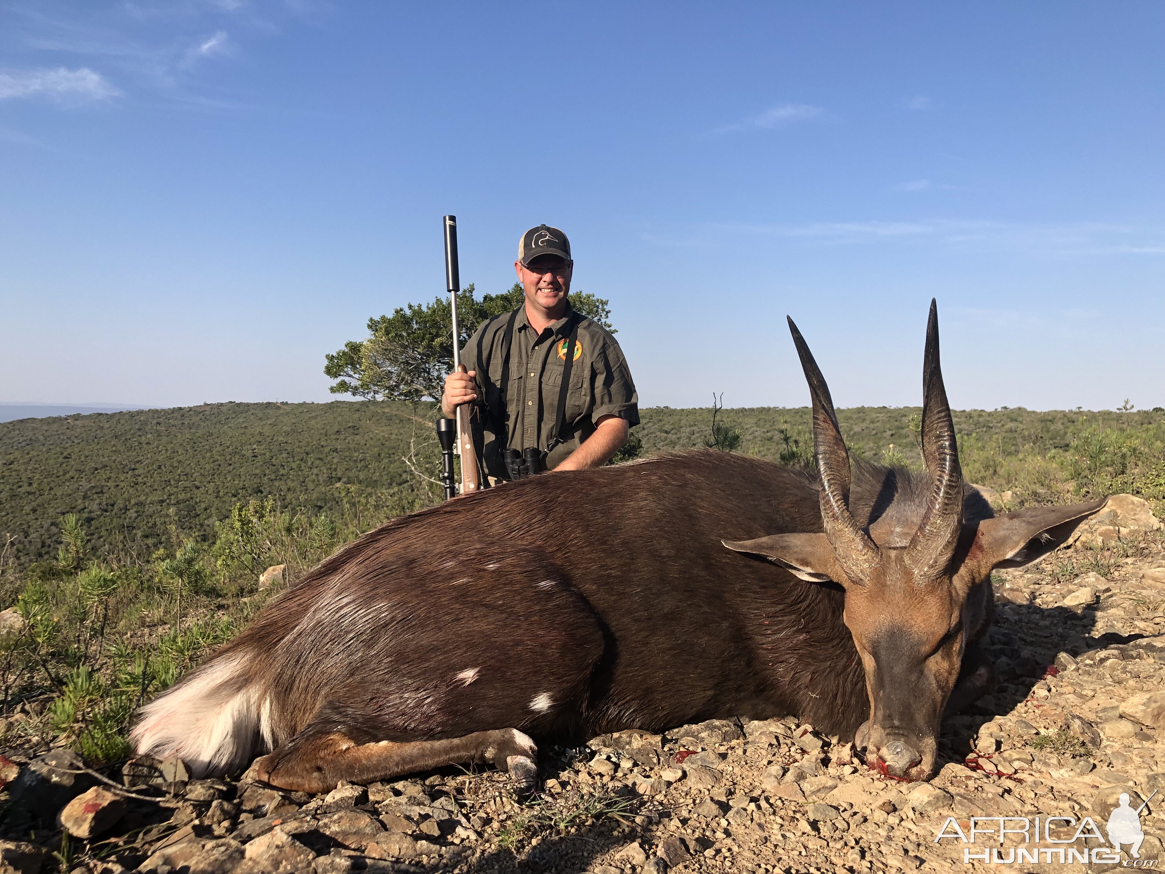 South Africa Hunt Bushbuck