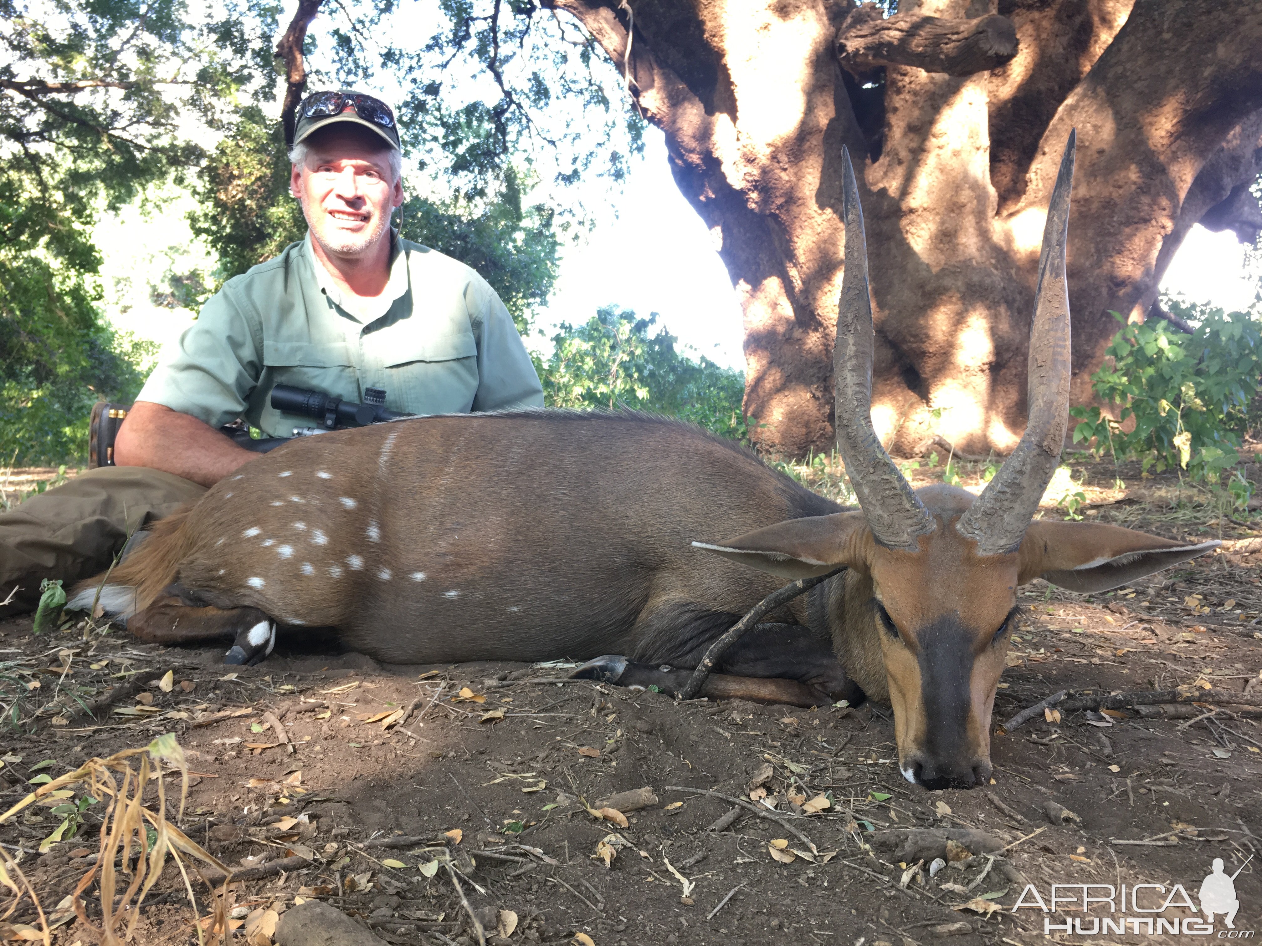 South Africa Hunt Bushbuck