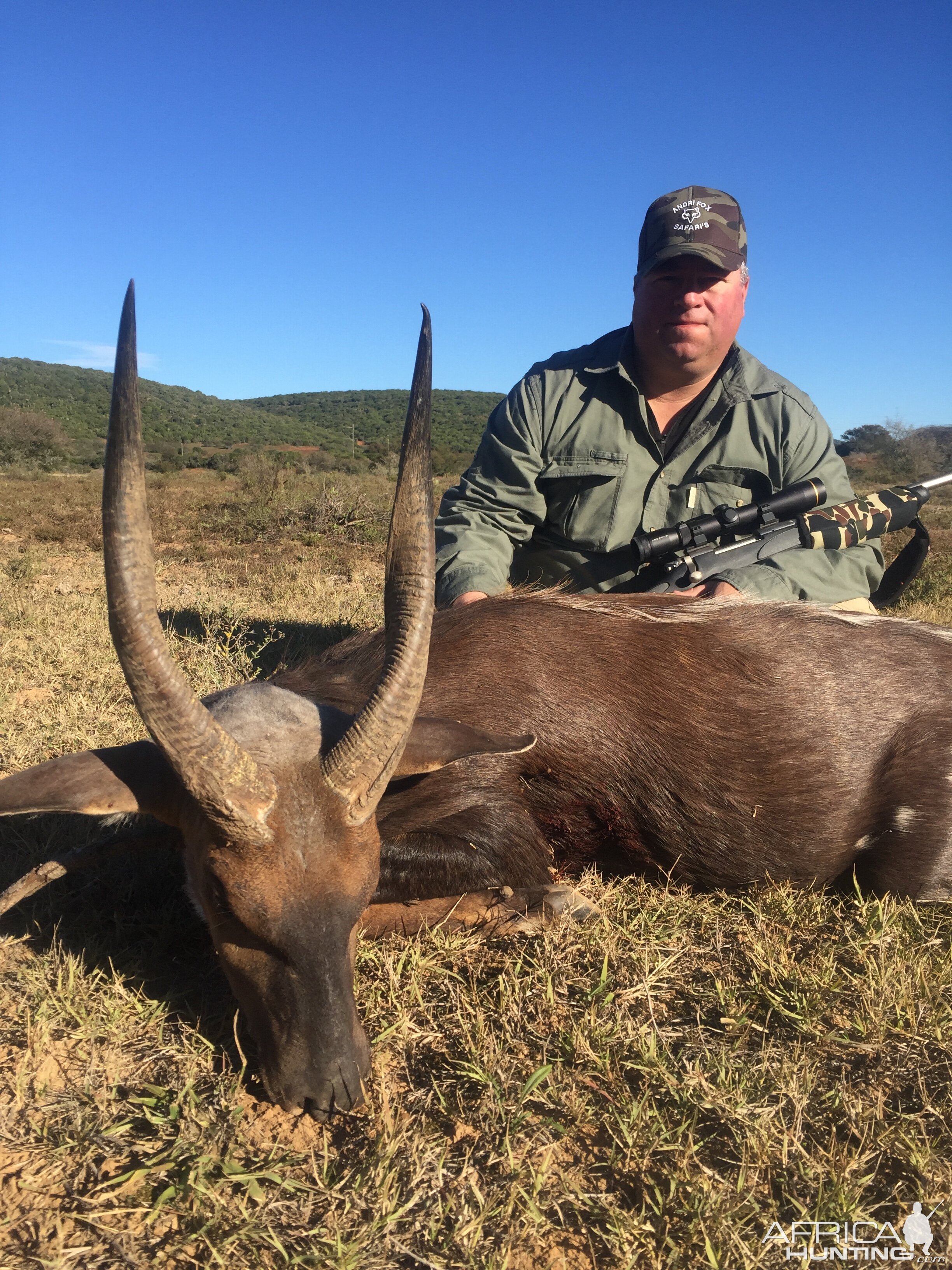 South Africa Hunt Bushbuck