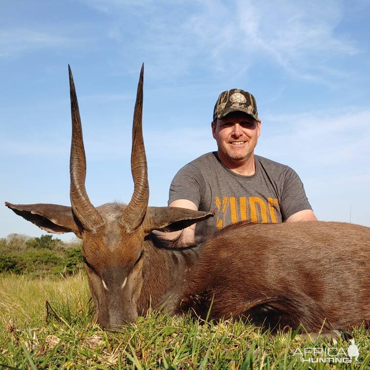 South Africa Hunt Bushbuck