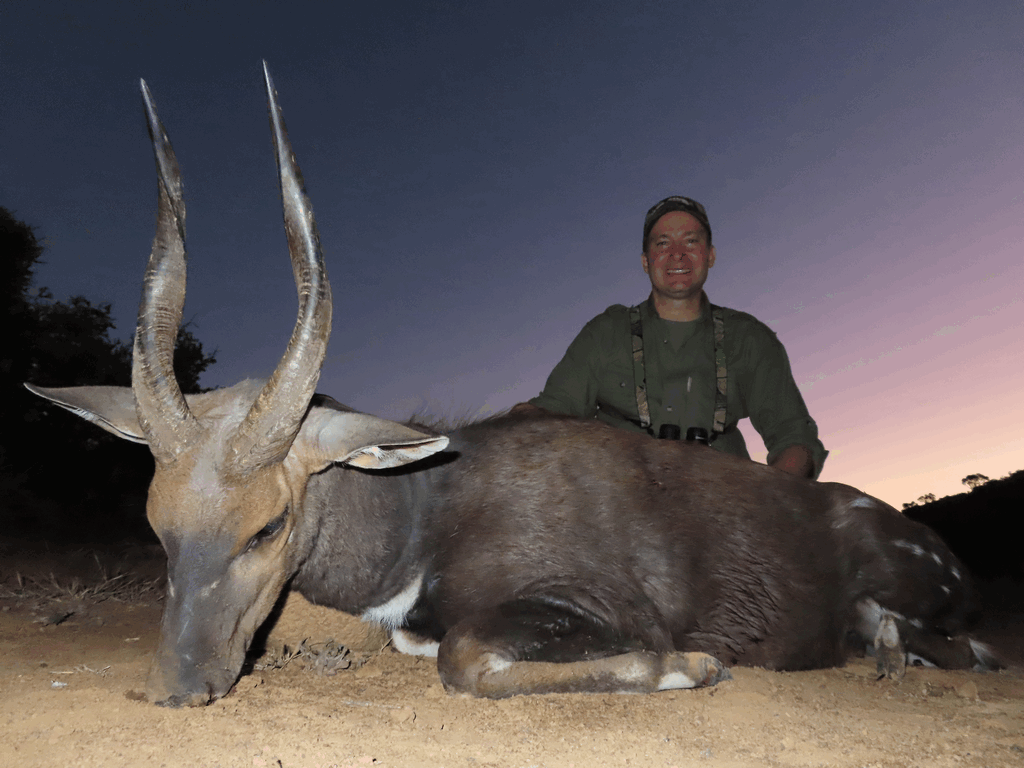 South Africa Hunt Bushbuck