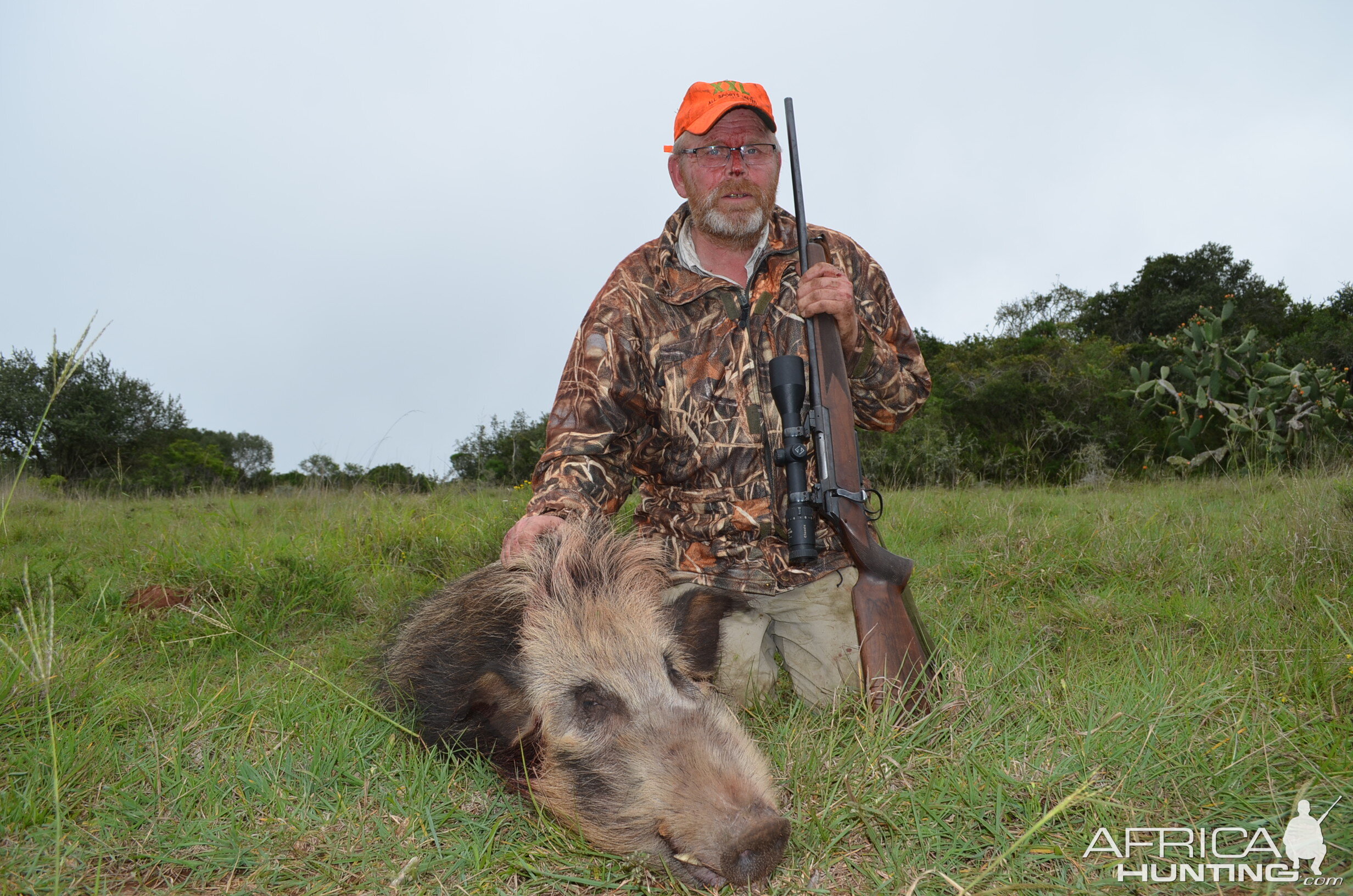 South Africa Hunt Bushpig