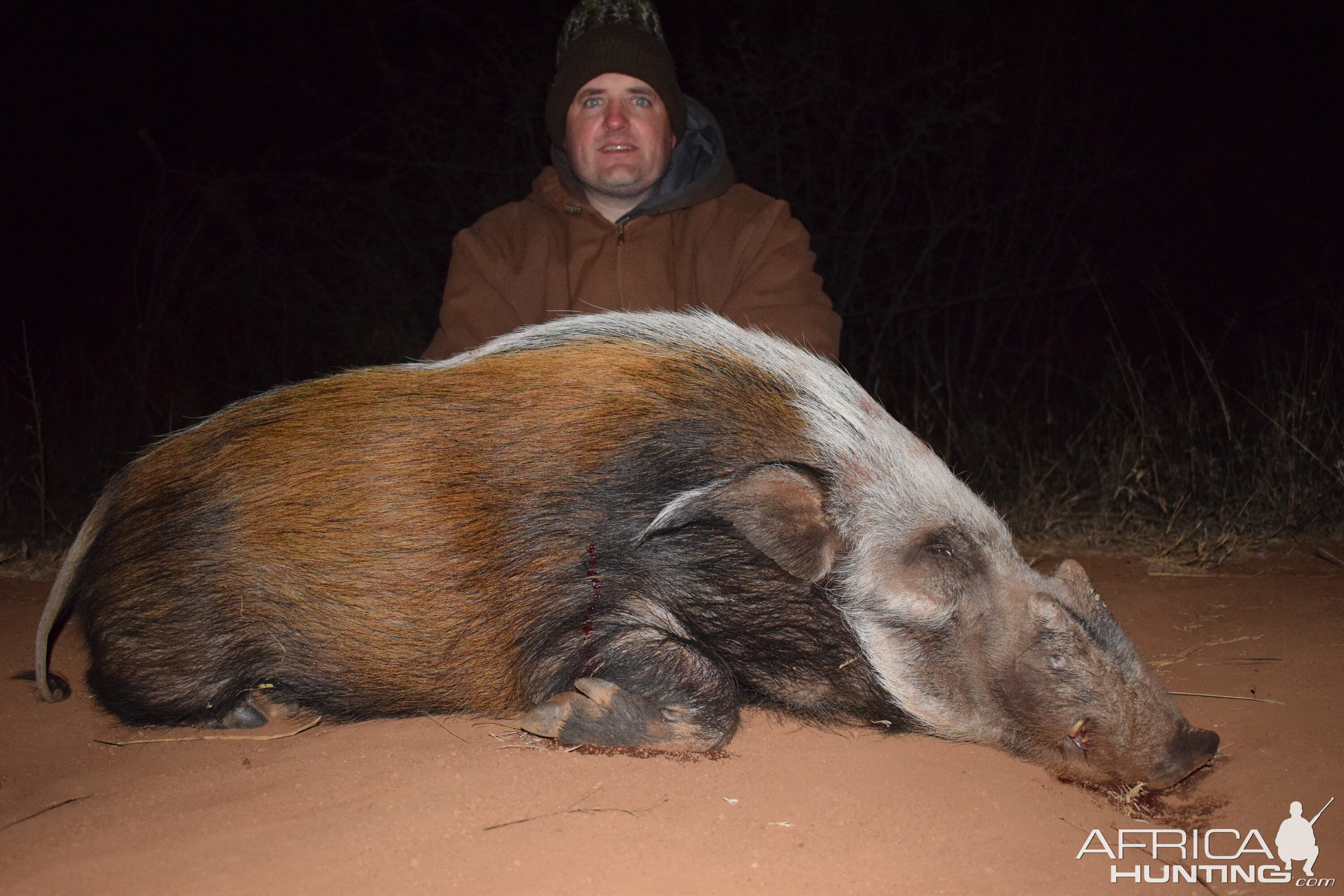 South Africa Hunt Bushpig