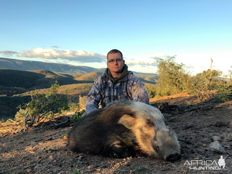 South Africa Hunt Bushpig