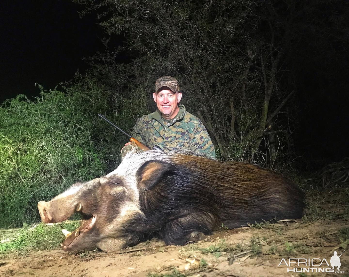 South Africa Hunt Bushpig