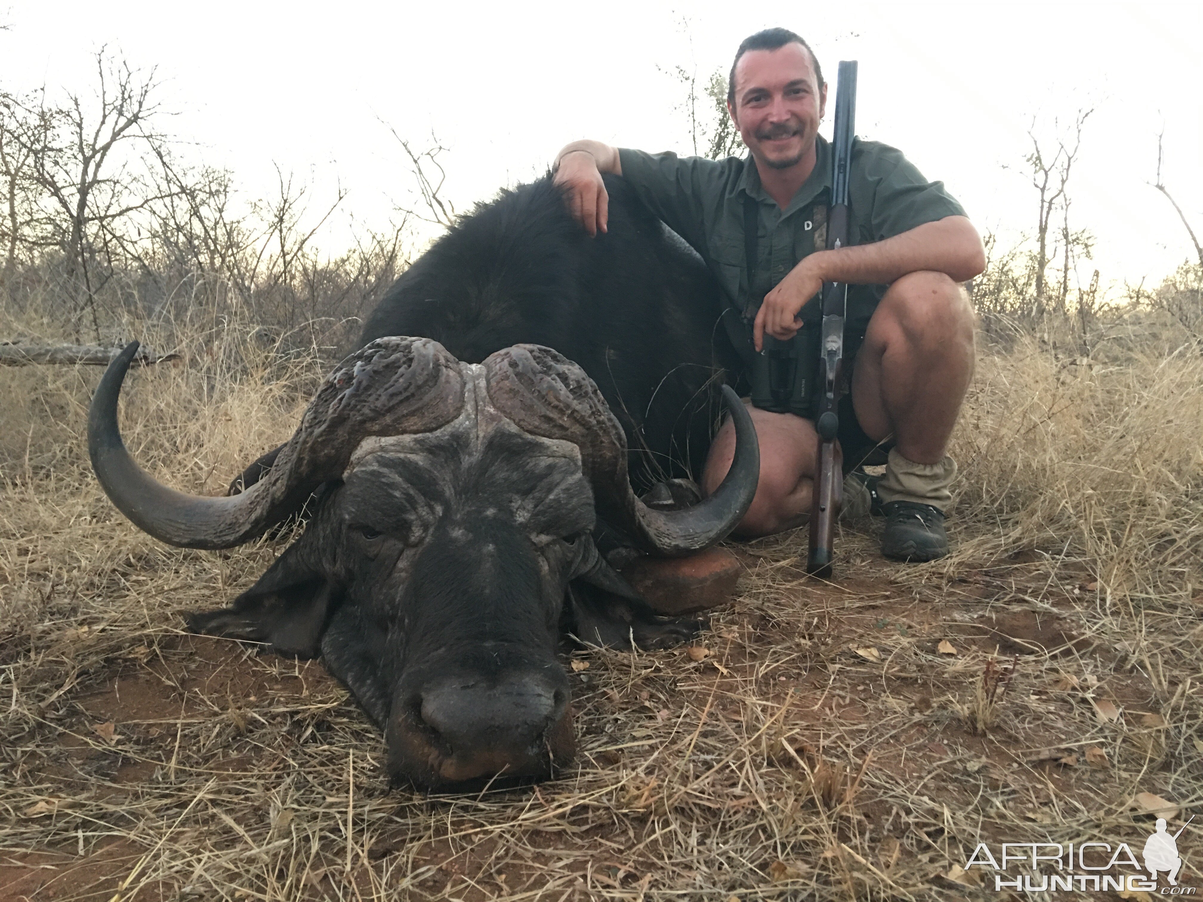 South Africa Hunt Cape Buffalo