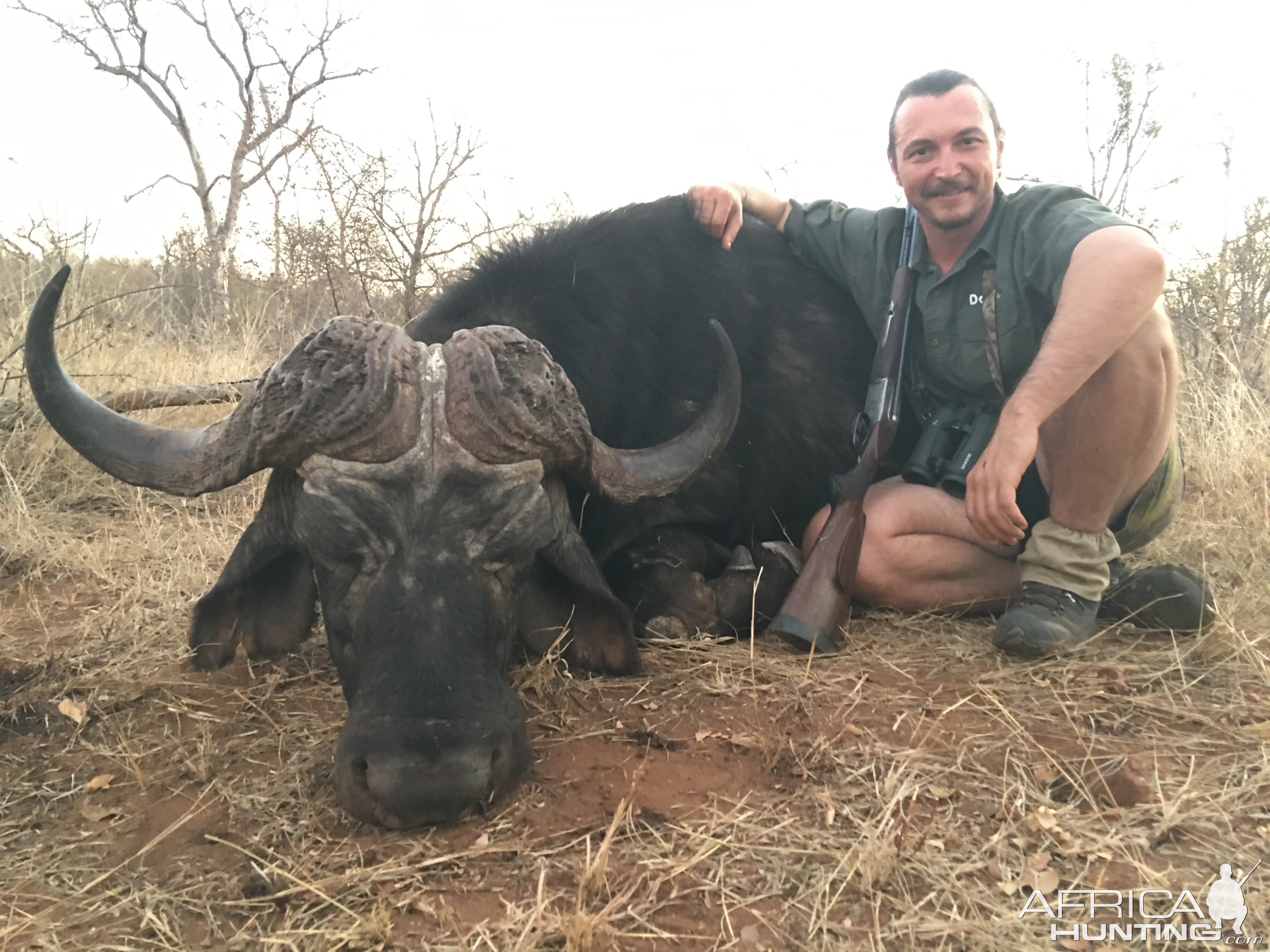 South Africa Hunt Cape Buffalo