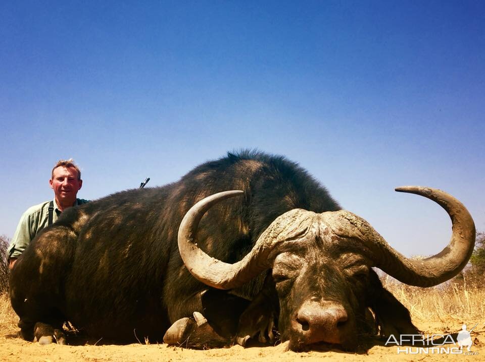 South Africa Hunt Cape Buffalo